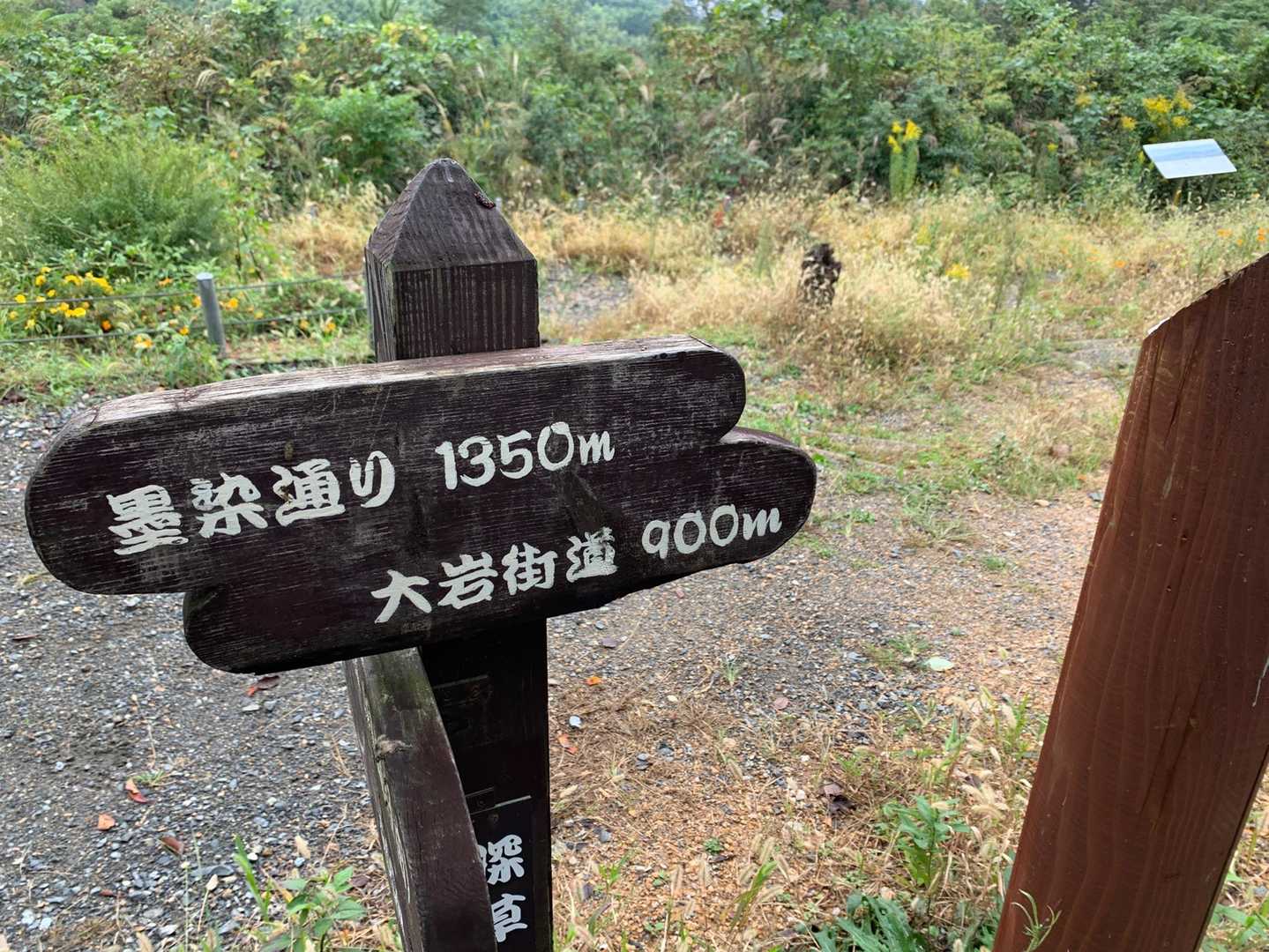 迷いやすい分岐点