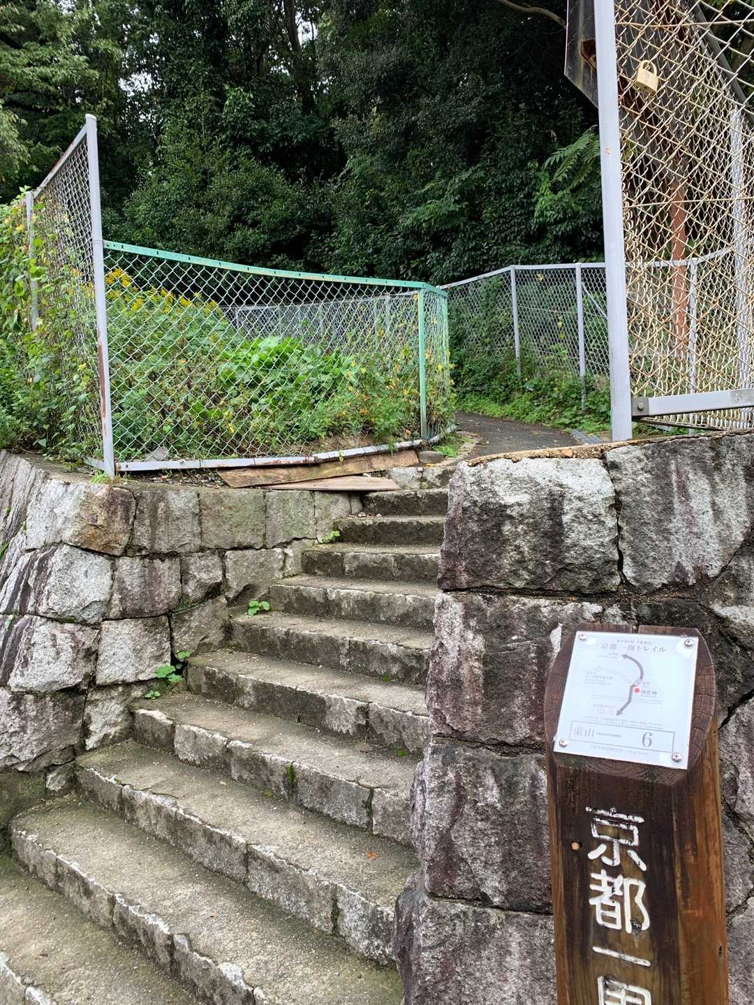 細いトレイル