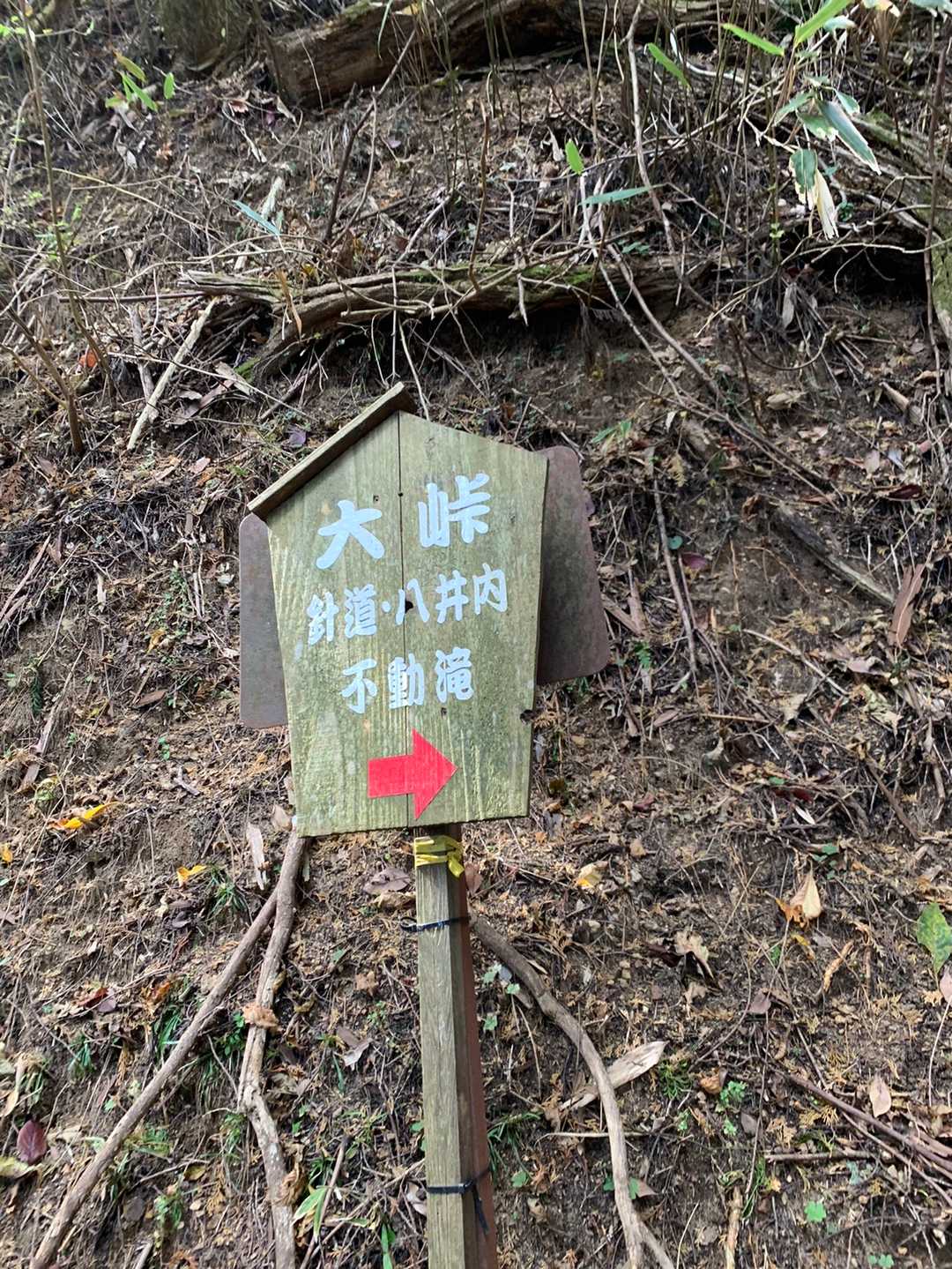 分岐点の看板