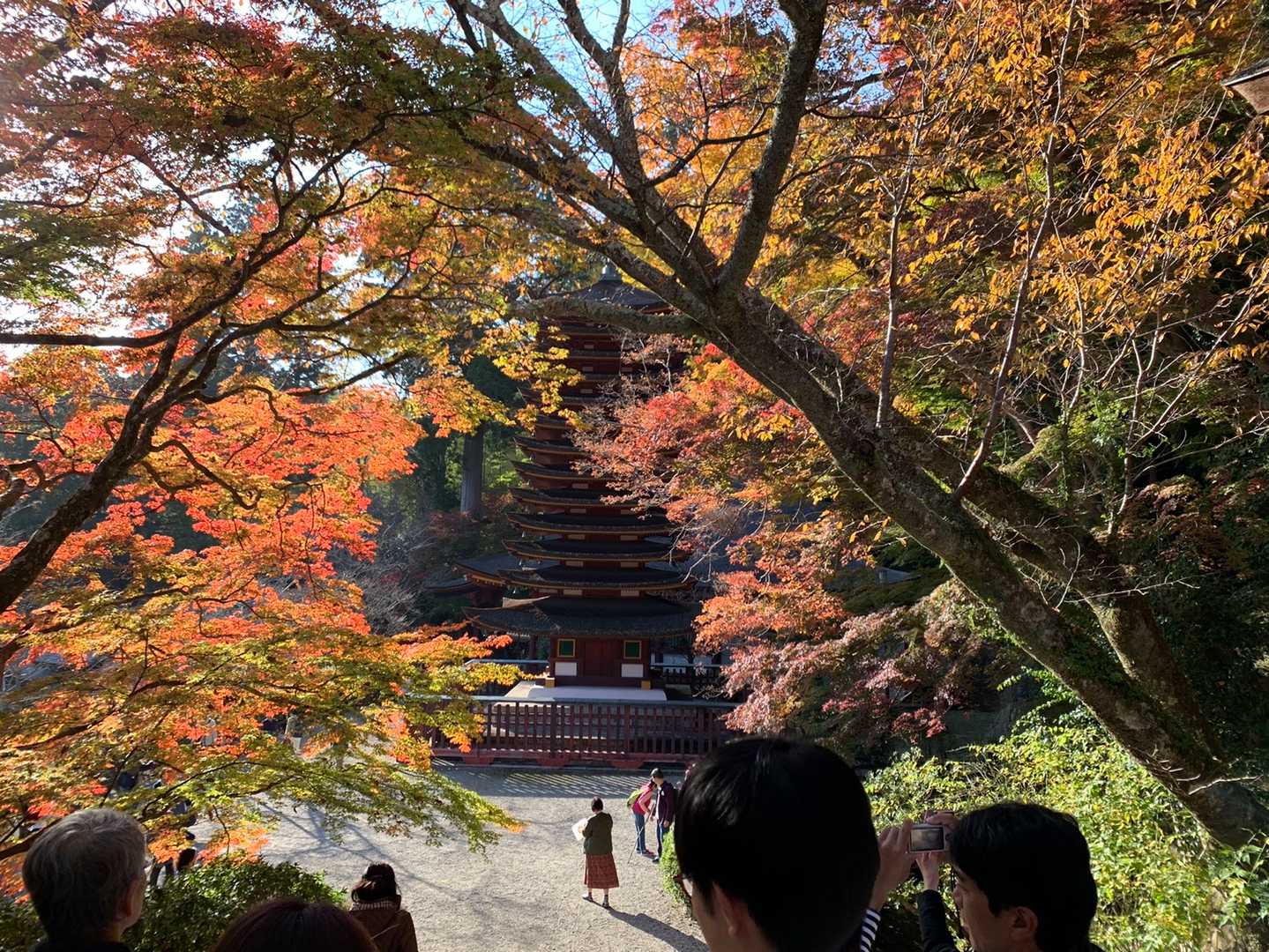 十三重塔の全景