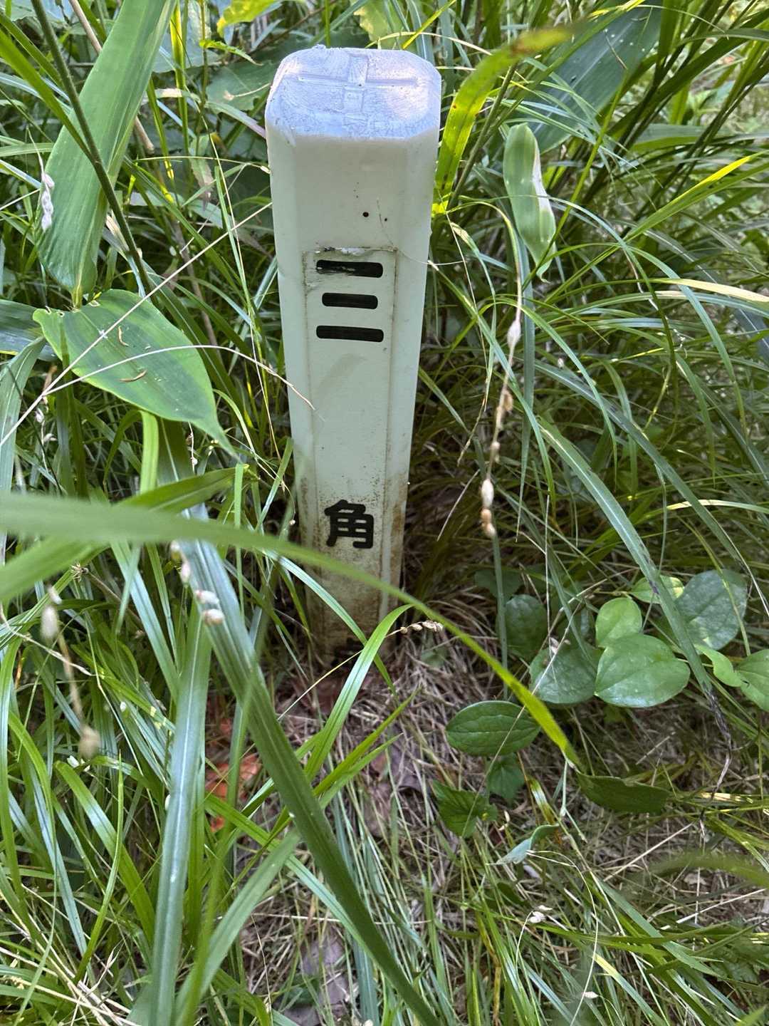 東山三角点