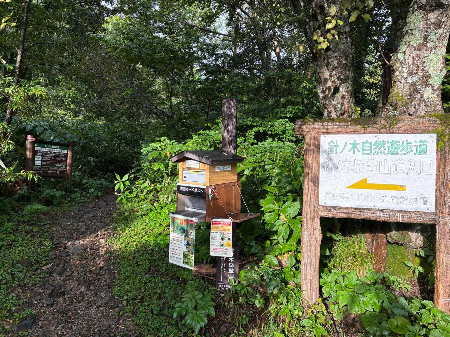 登山道の様子