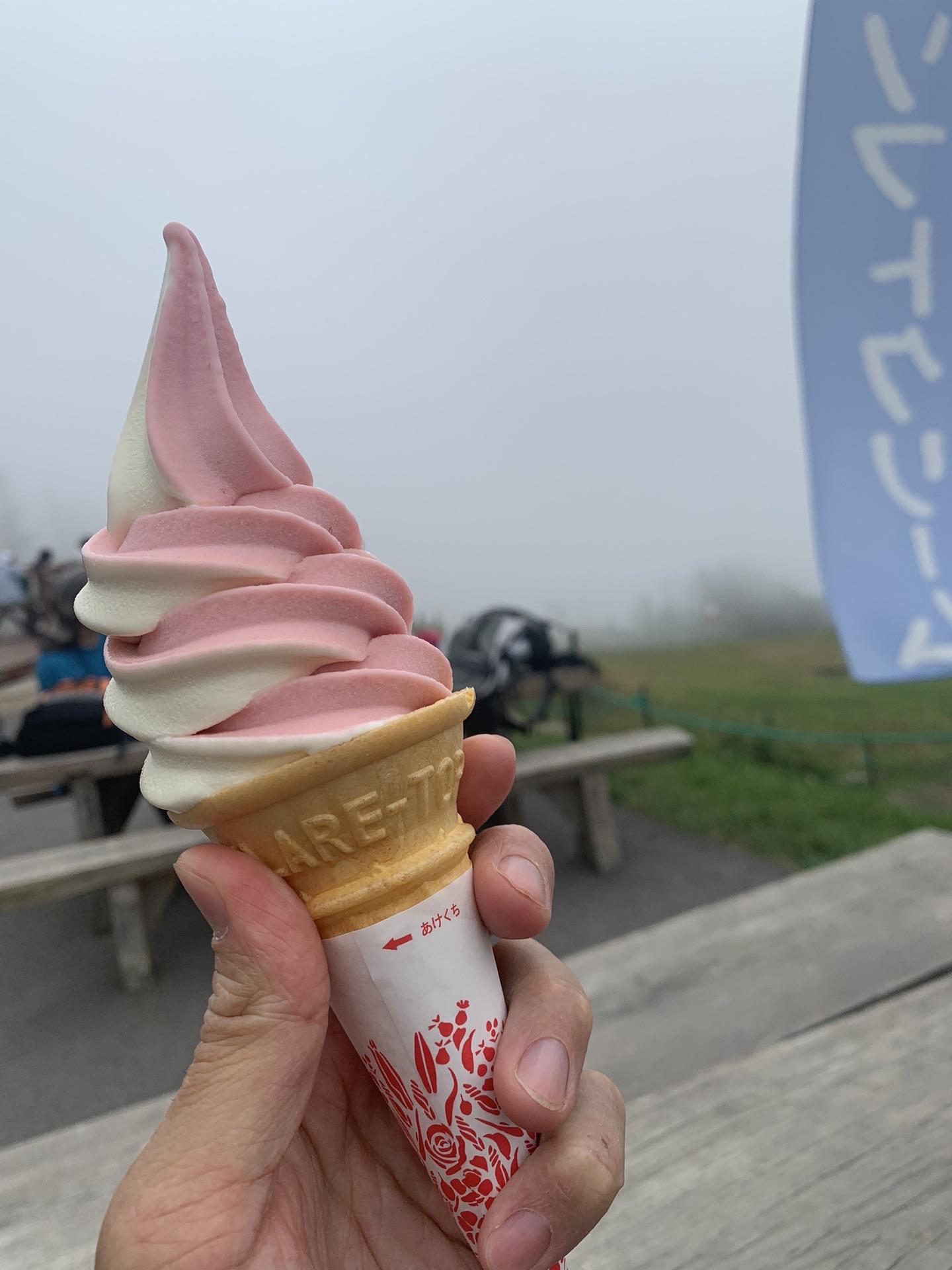 ゴンドラ山頂駅付近で売っているルバーブのソフトクリーム