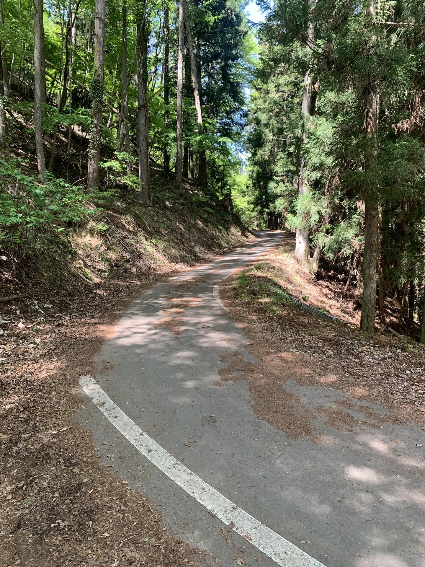 京ヶ倉登山口へ続く細い舗装路