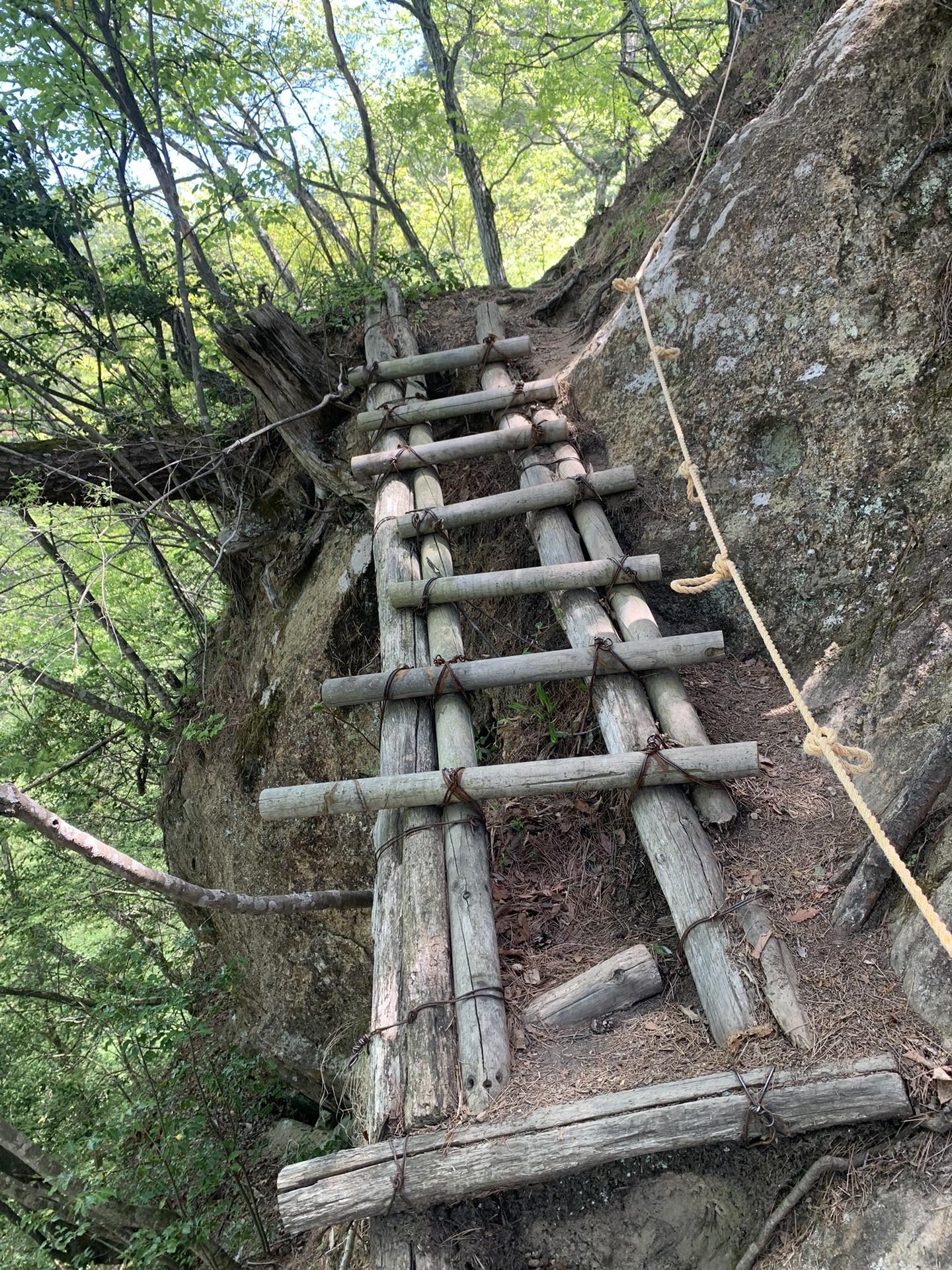 京ヶ倉登山道のハシゴ