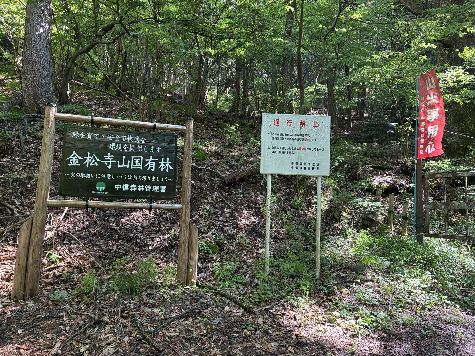 登山口に立つ「金松寺山国有林」の看板と注意書きの掲示板。脇には赤い幟が立ち、周囲は新緑の樹林