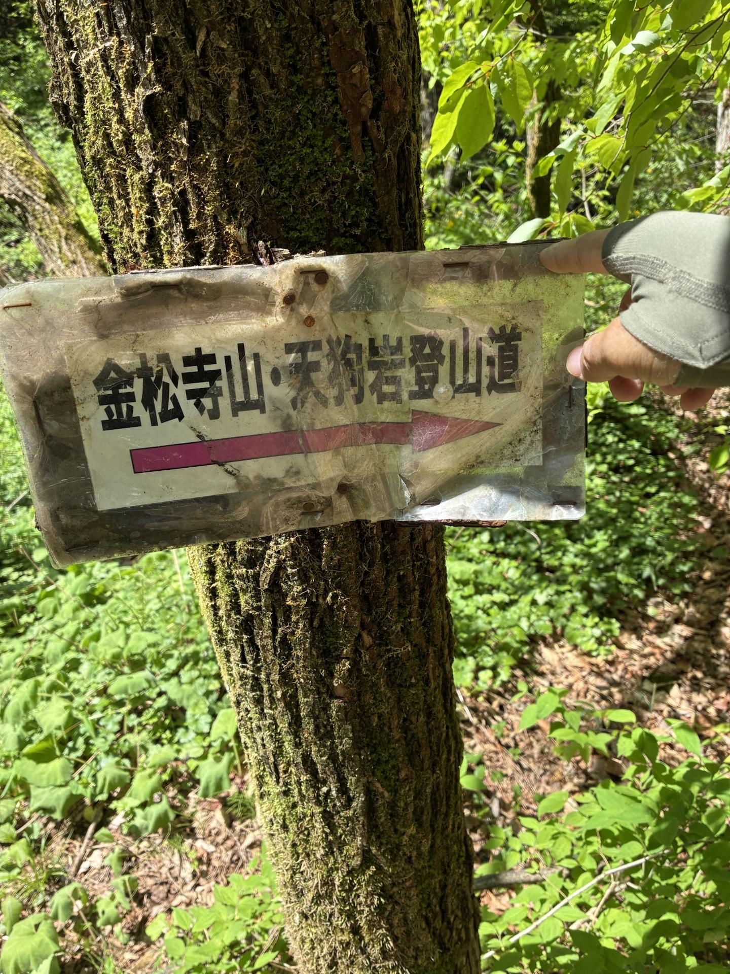 手に持たれた古い木の道標。かすれた文字で「金松寺山・天狗岩登山道」と読める。背景は苔むした木の幹