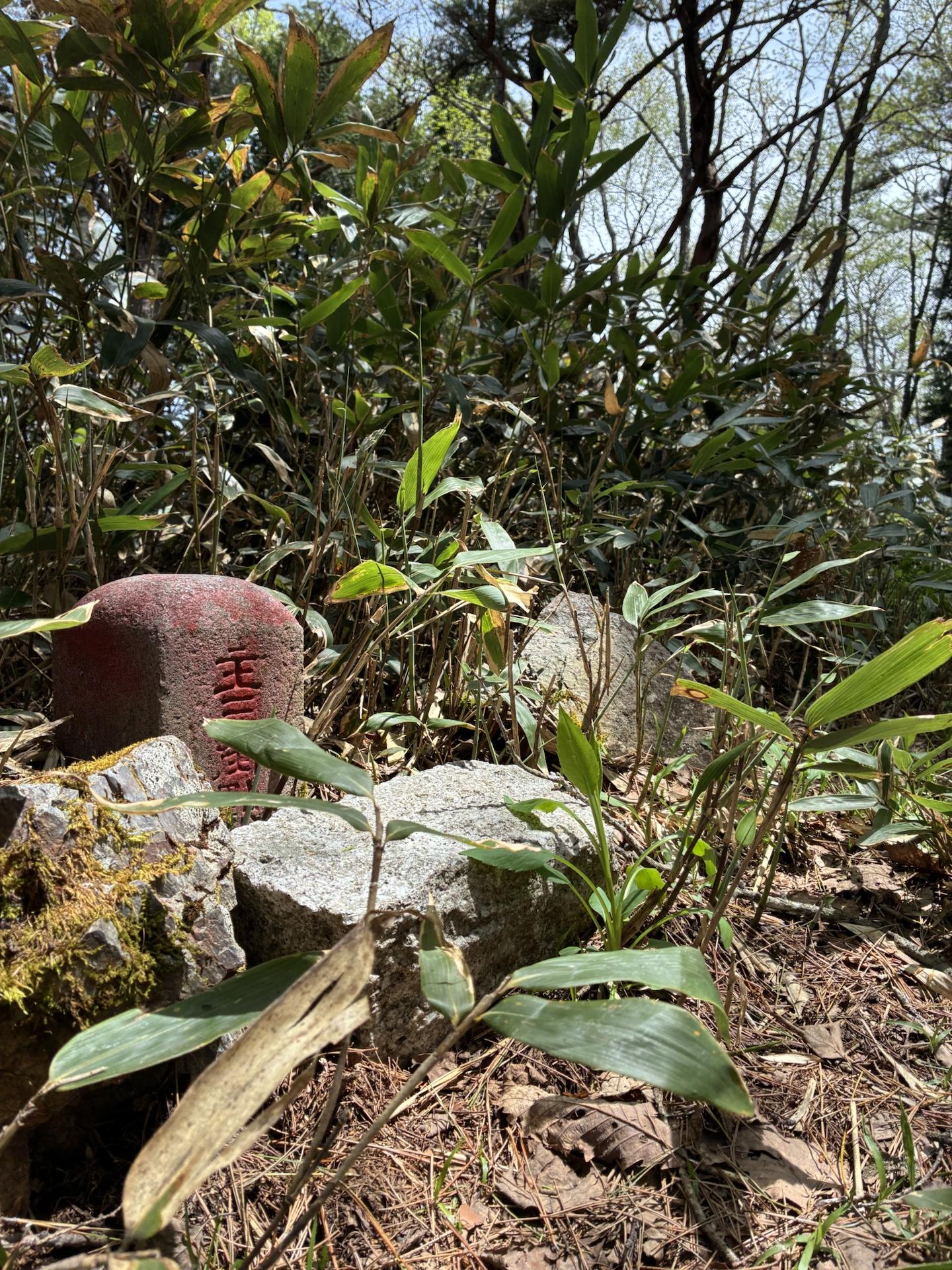 山頂の地面に置かれた赤い小さな石仏と、その脇の白っぽい石。周囲は下草と若葉の枝に囲まれている
