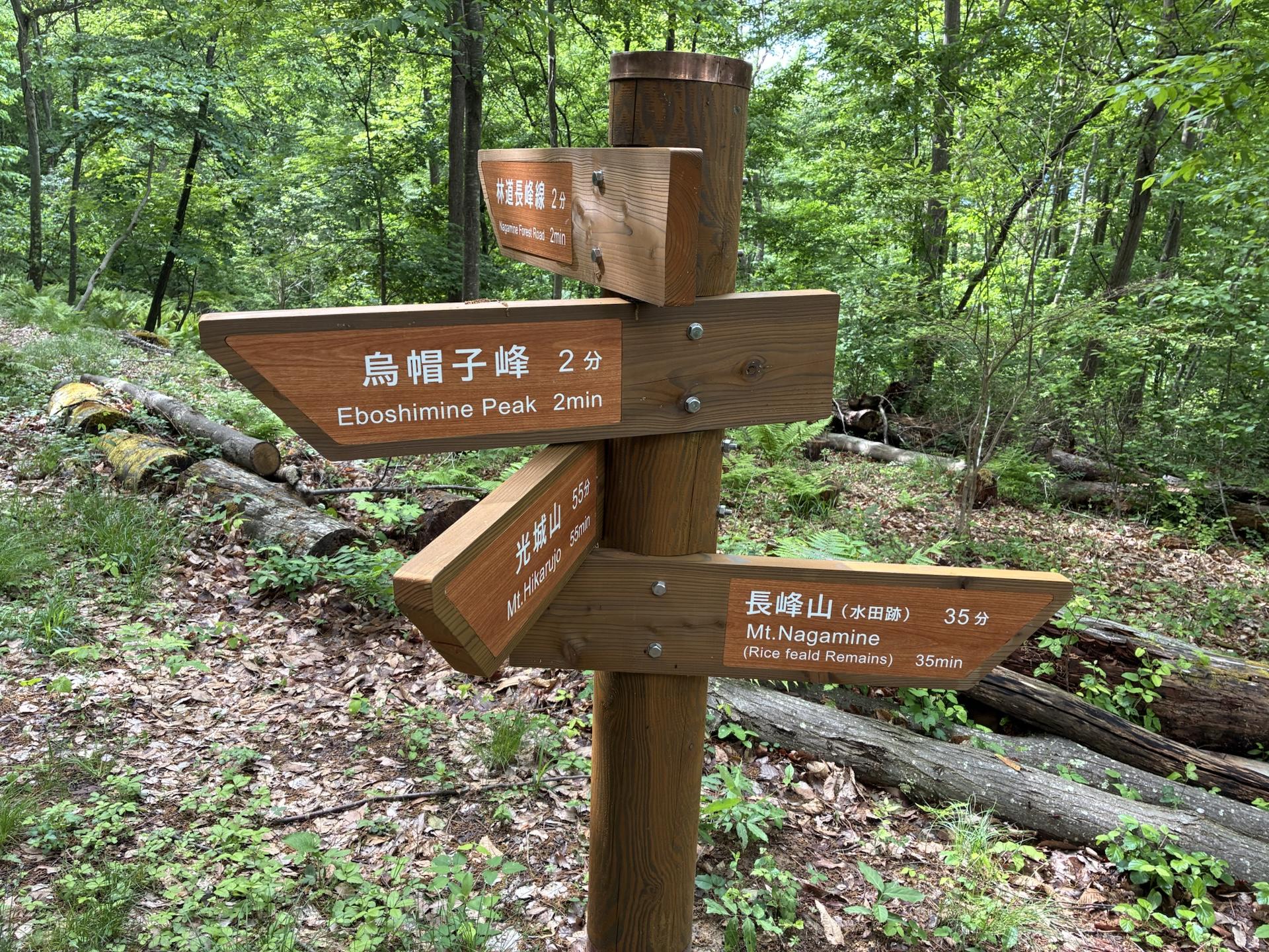 樹林の中に立つ木の道標。「烏帽子峰 2分」「長峰山(本峰) 35分」と方向を示す矢印が付いている