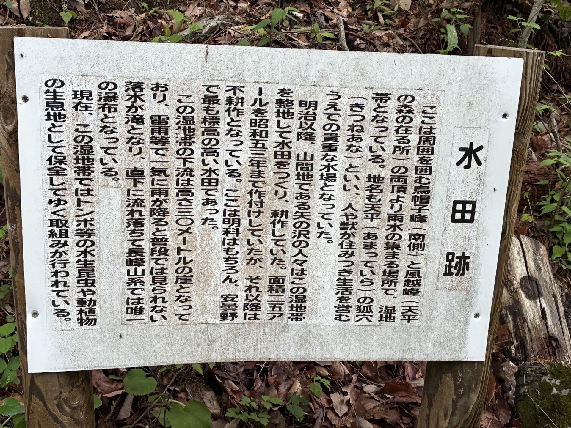 樹林の中に立てられた「水田跡」と書かれた白い解説板。周囲は下草に覆われた斜面