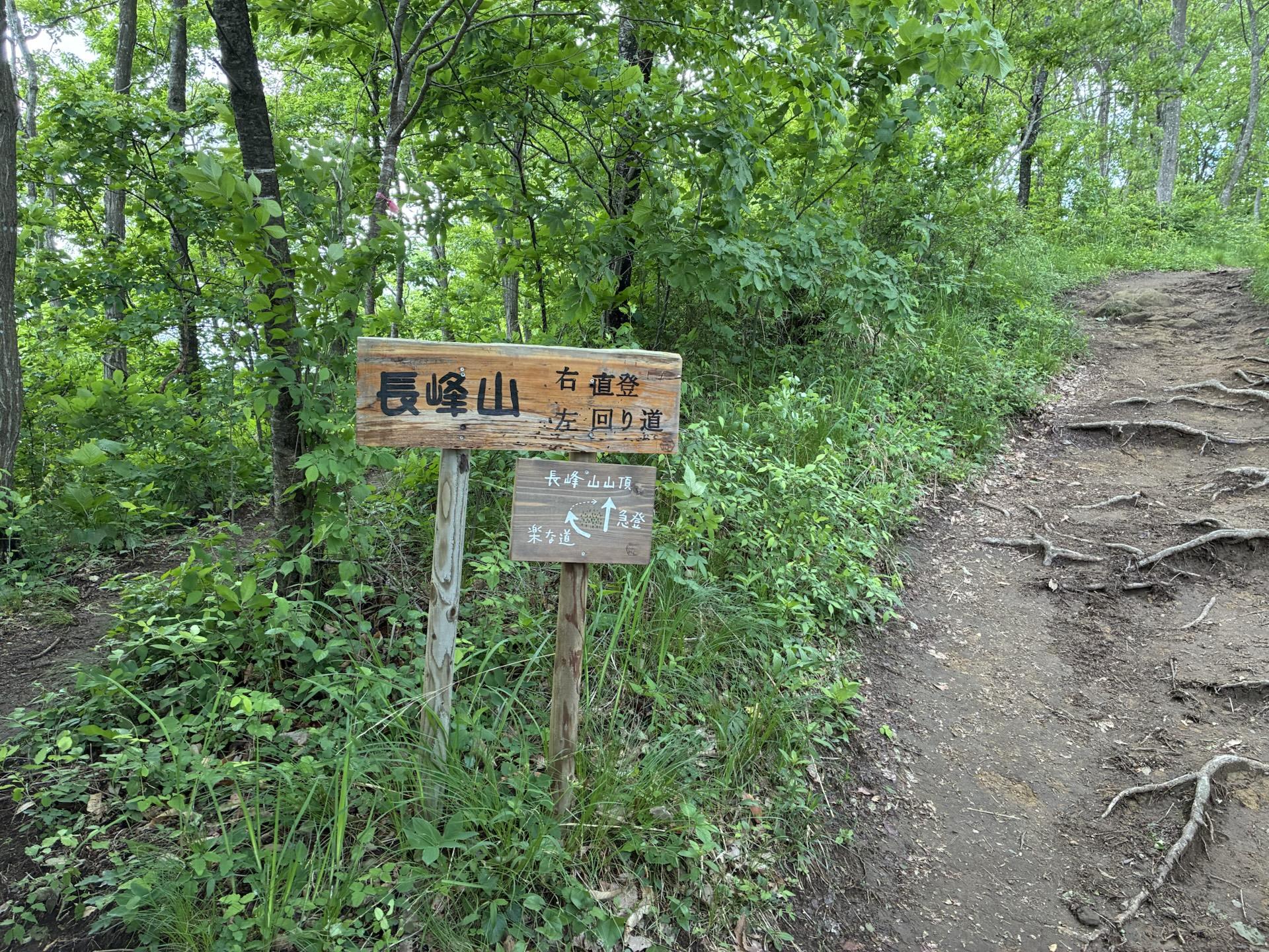 木の根が露出した急な登山道。脇に「長峰山」と書かれた古い木の道標が立っている