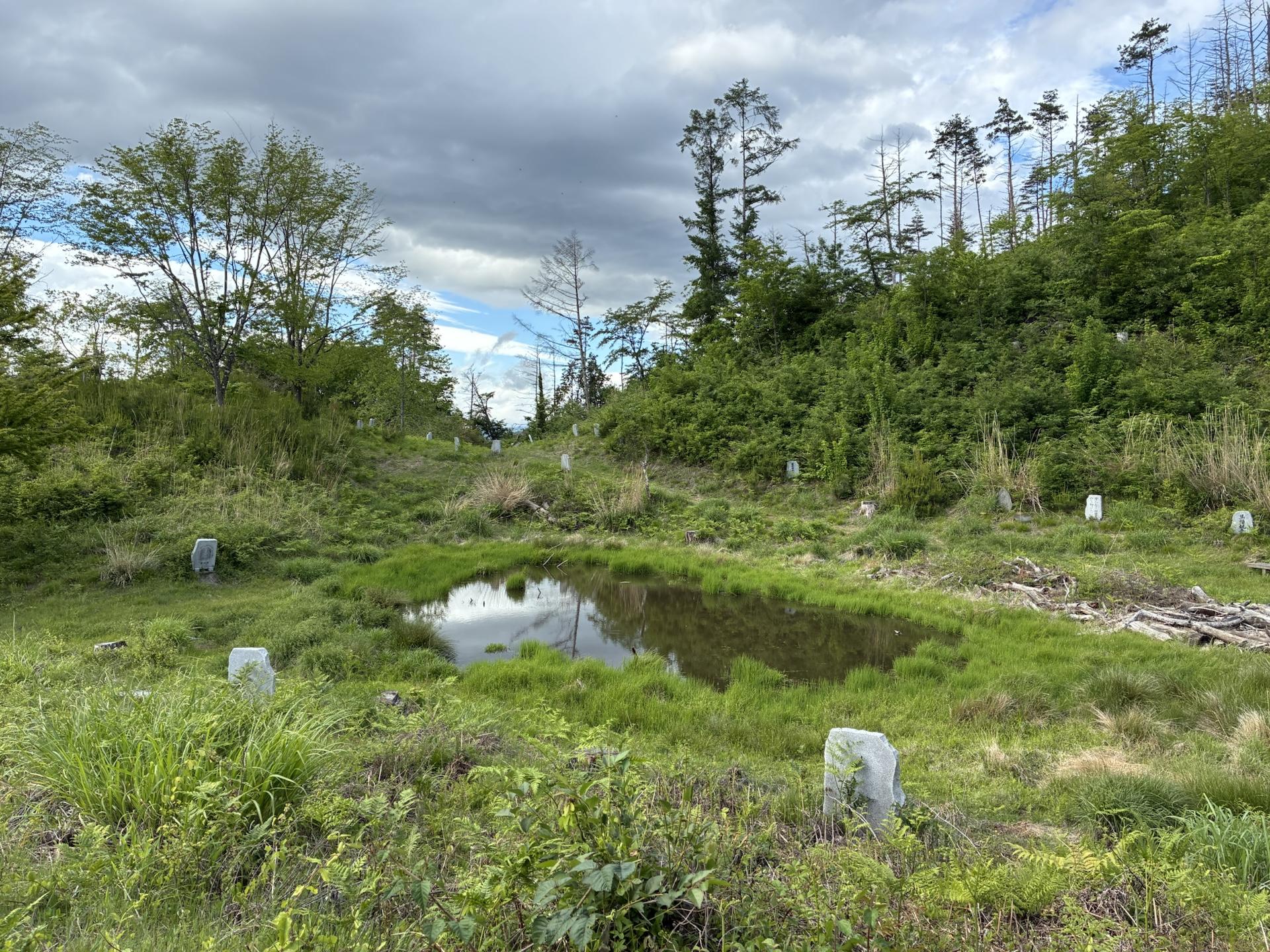 湿地のような窪地。浅く水が溜まり、その周囲に小さな石碑がいくつも点在している。奥は雑木林