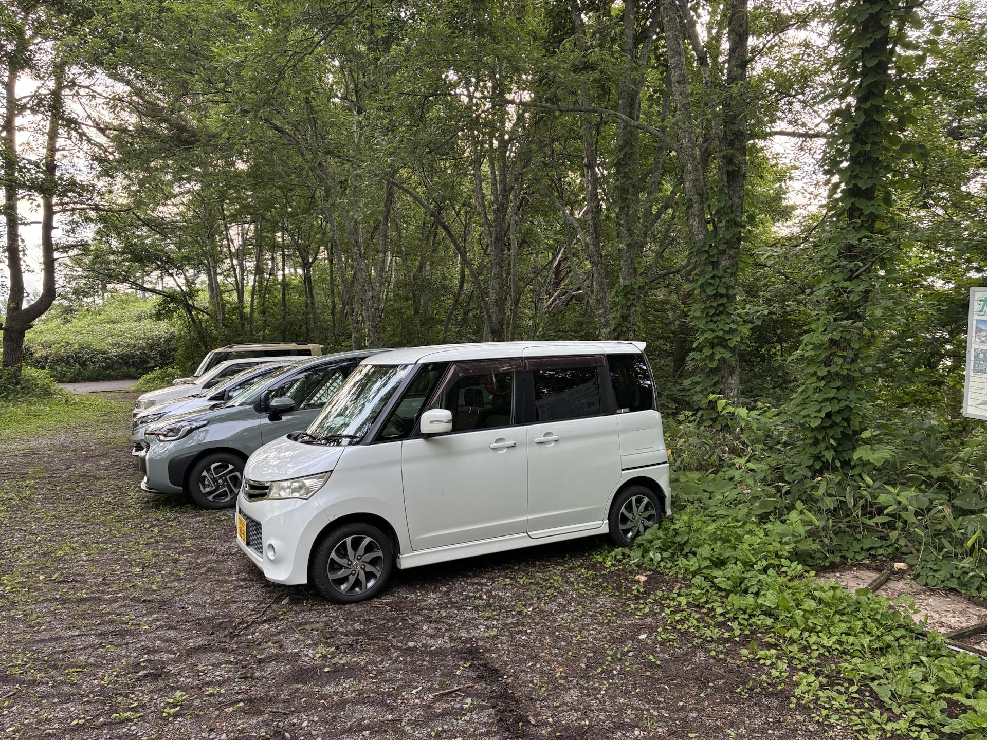 樹林に囲まれた未舗装の駐車場。奥に数台の車が縦に停まっていて、朝の光が差し込んでいる