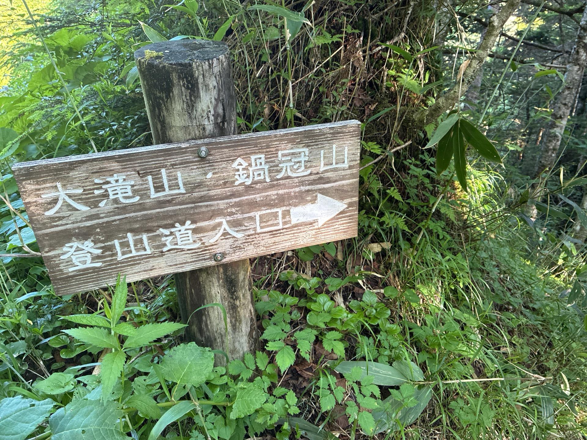 林道脇の「大滝山・鍋冠山 登山道入口」と矢印が書かれた木の道標。周囲は下草の茂る樹林
