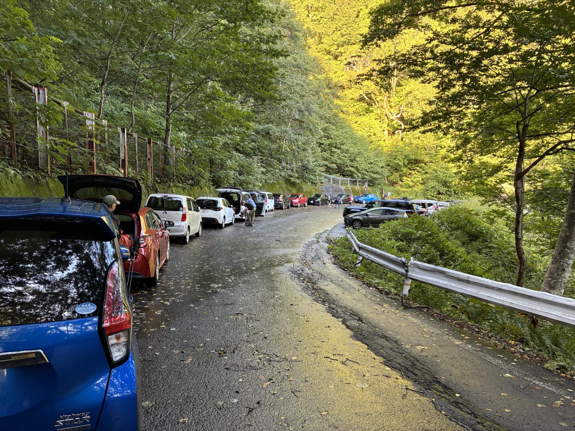 新中の湯登山口の路肩に縦列駐車する車の列。朝の光が差す林道と、右側のガードレール沿いにも車が並んでいる