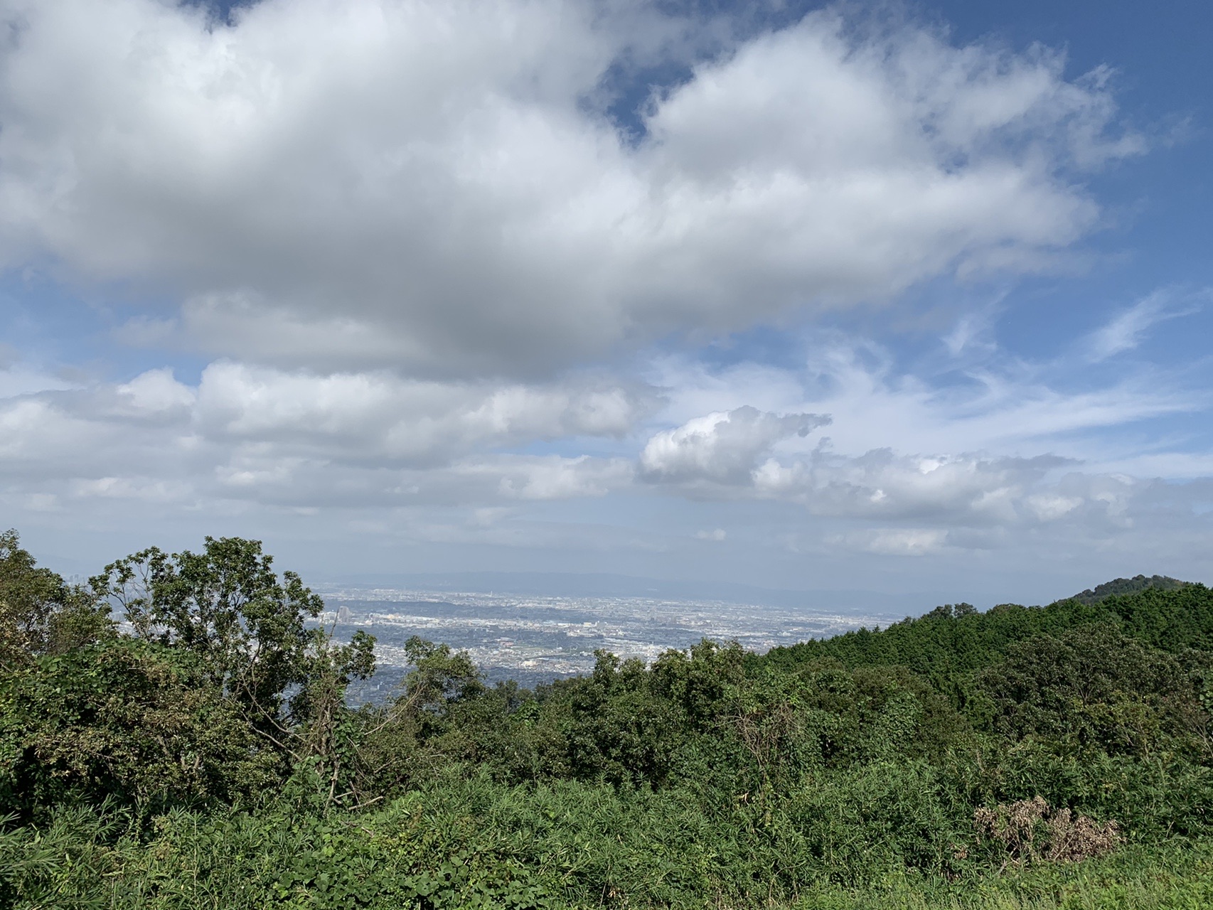 生駒山地の尾根から見た大阪平野。手前は緑の樹林、奥に市街地と雲の多い青空
