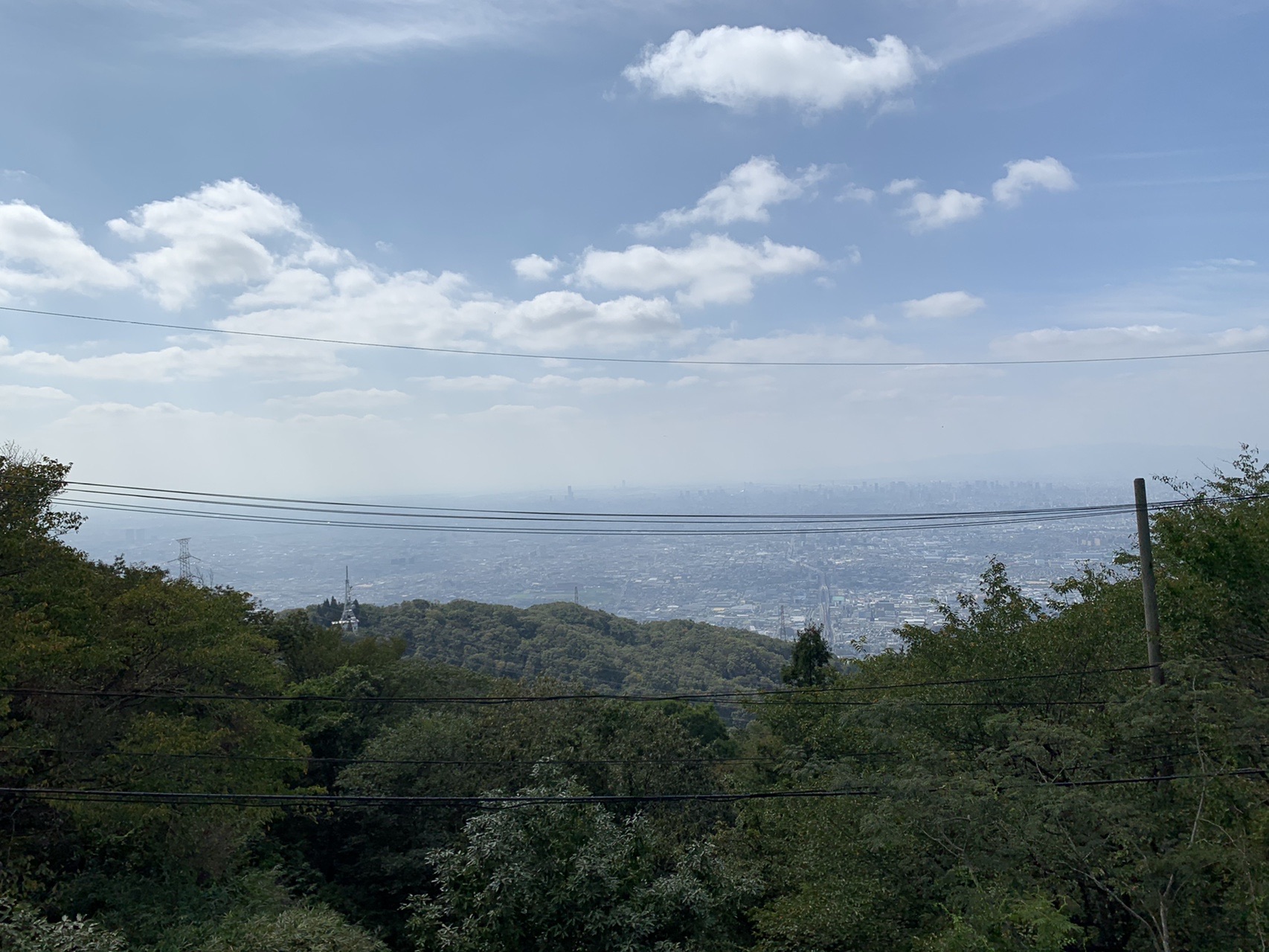 生駒山上から西を見た大阪方面の展望。手前に送電線、下に樹林、奥に霞んだ市街地