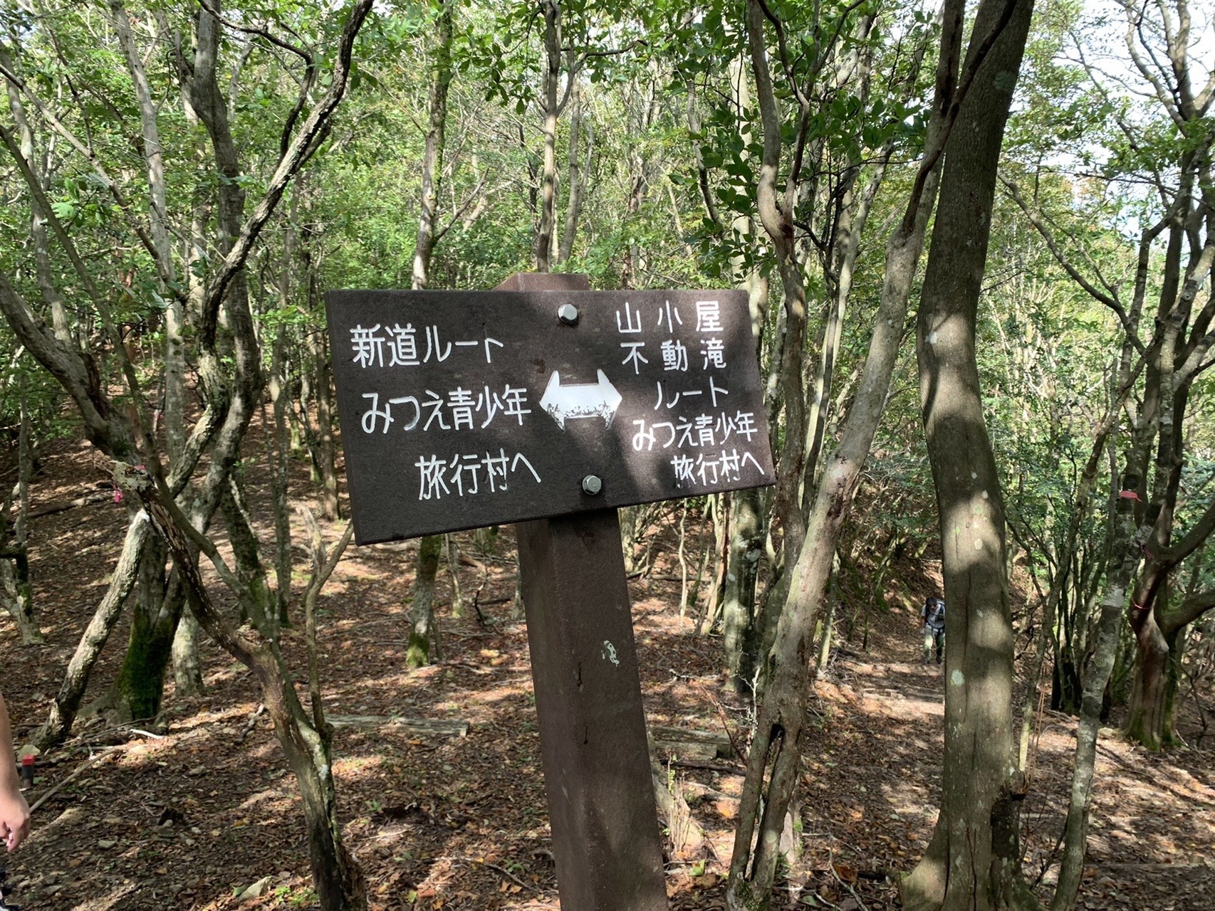 三畝峠の道標。「新道ルート みつえ青少年旅行村へ」「山小屋・不動滝ルート みつえ青少年旅行村へ」と書かれている