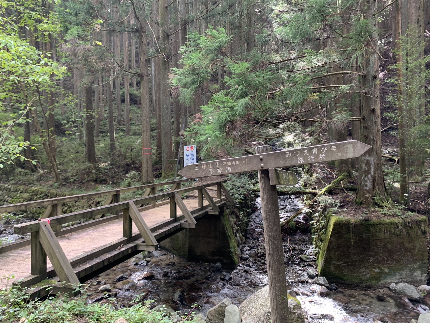 沢にかかる木の橋と道標。「三峰山頂(不動滝ルート)」「不動滝」「みつえ青少年旅行村」と書かれている
