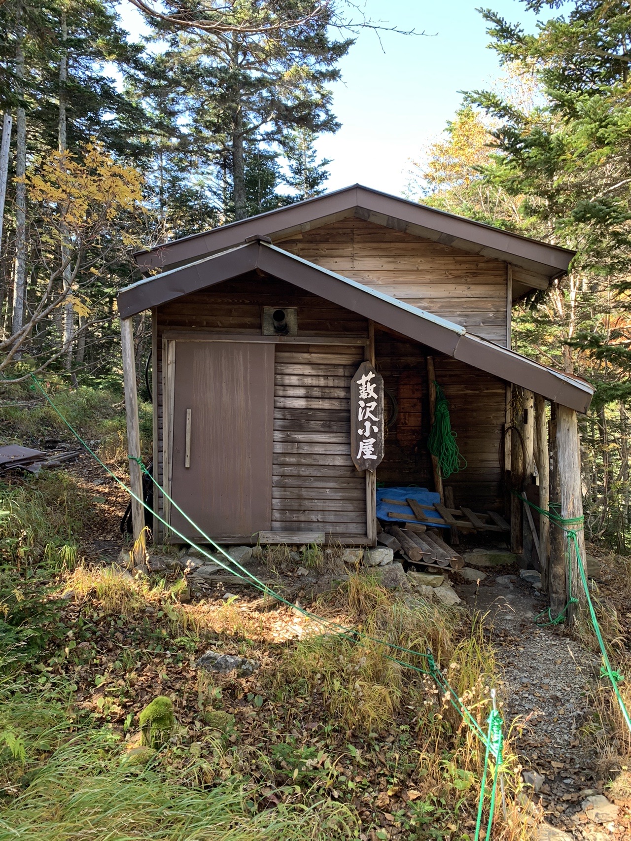 林の中にひっそりと建つ古い木造の小屋。壁は板張りで、周りは草に覆われている