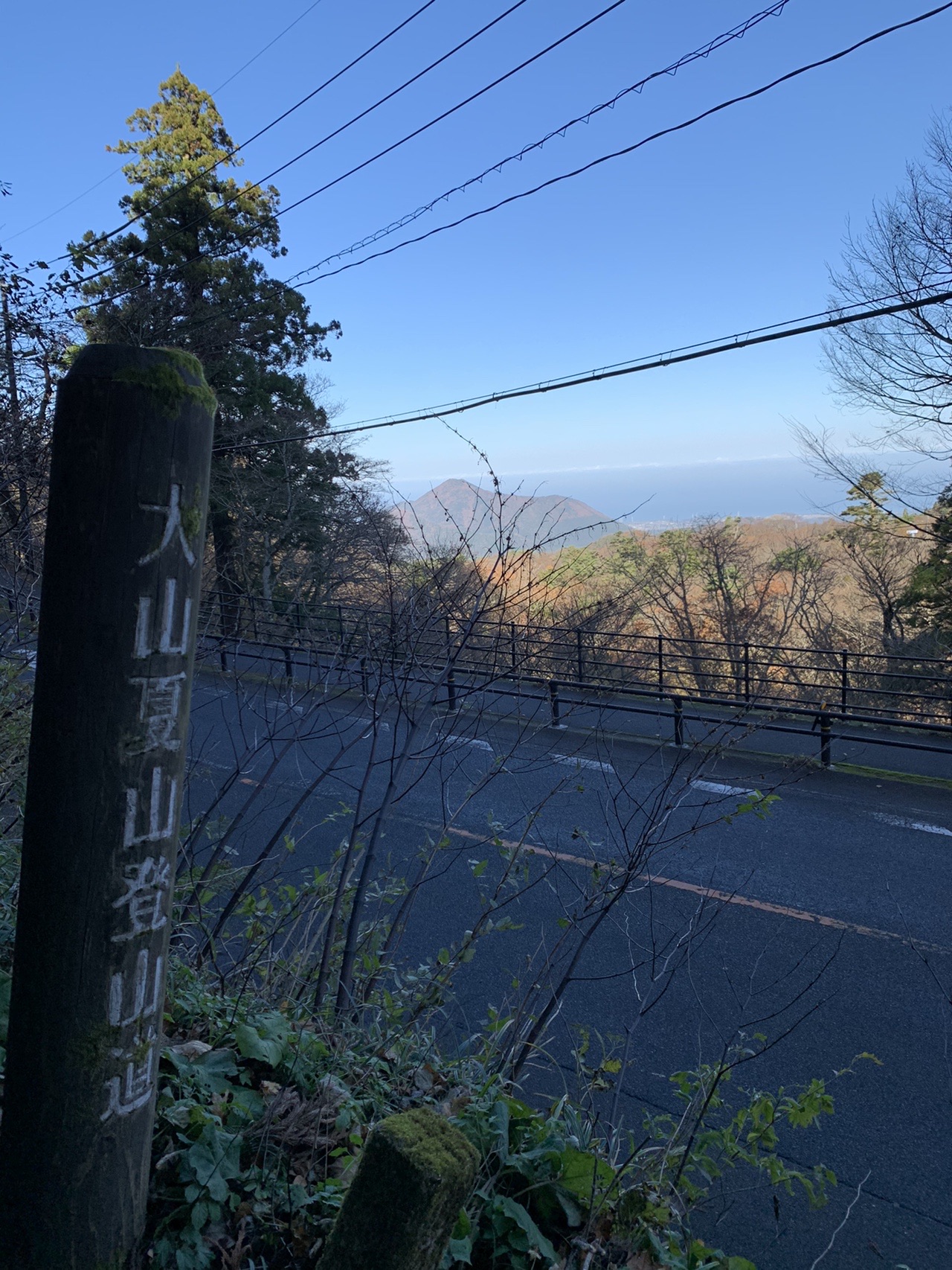道路脇に立つ古い木の標柱。縦書きで「大山夏山登山道」と彫られている
