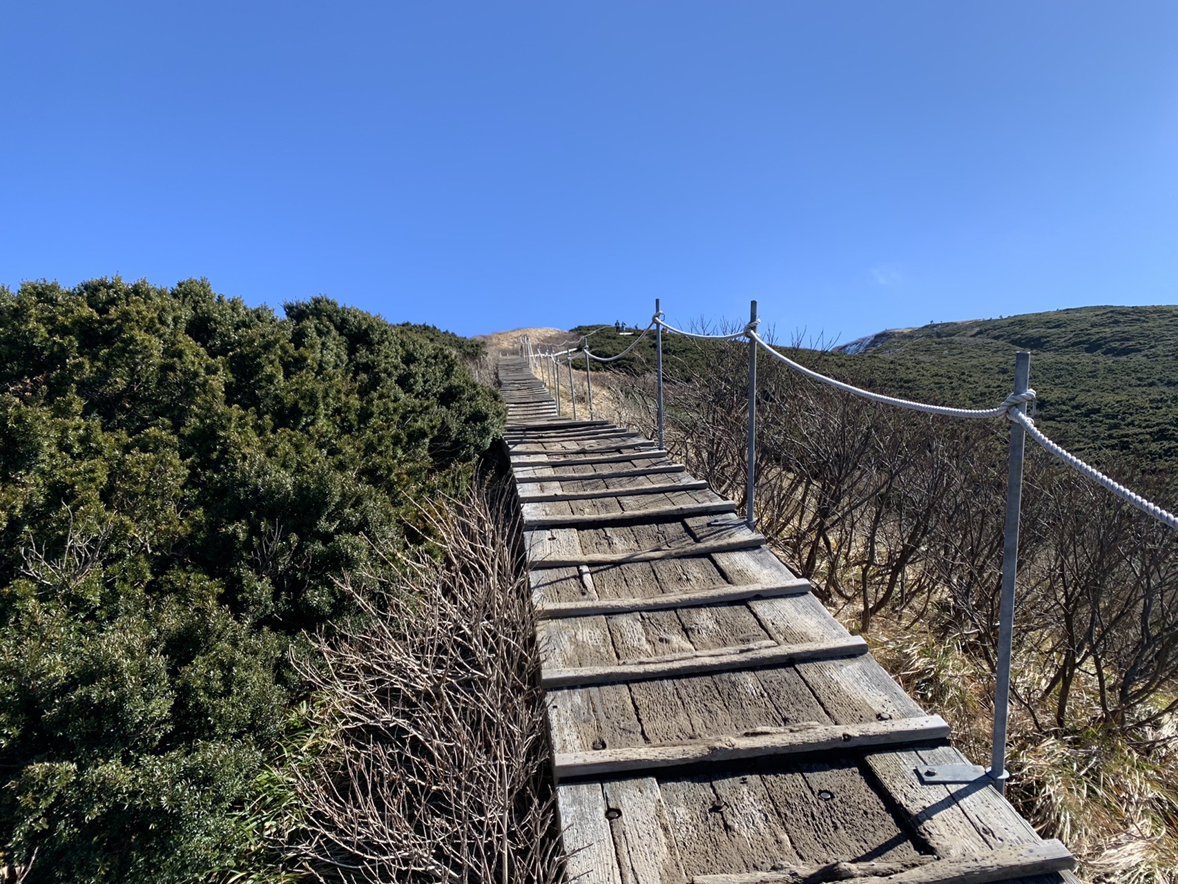 低い灌木の間を抜ける木道。板が階段状に続き、その先の稜線まで道が伸びている