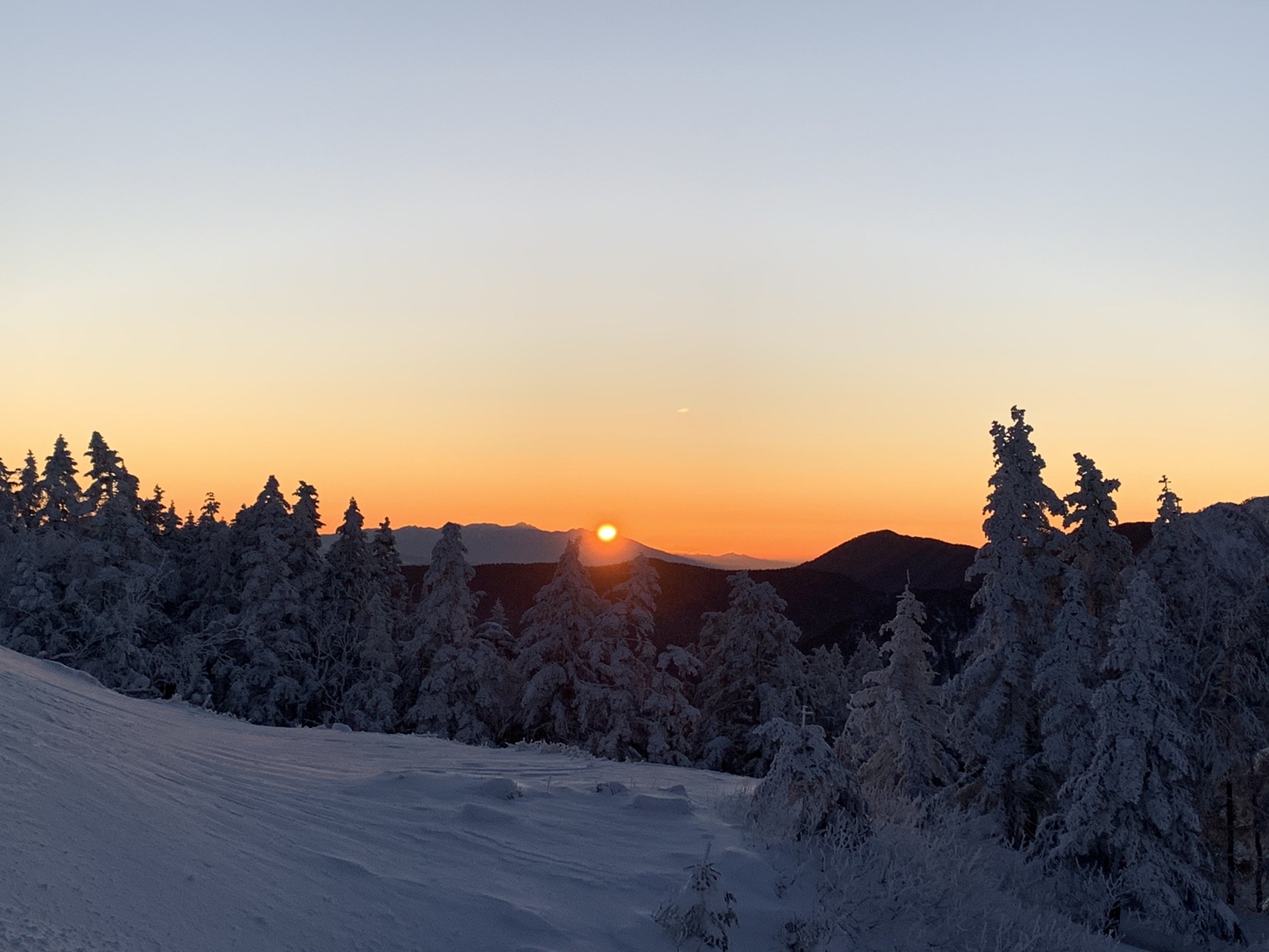 山の稜線から太陽が顔を出した瞬間。雪原と霧氷の木々がオレンジの光を受けている