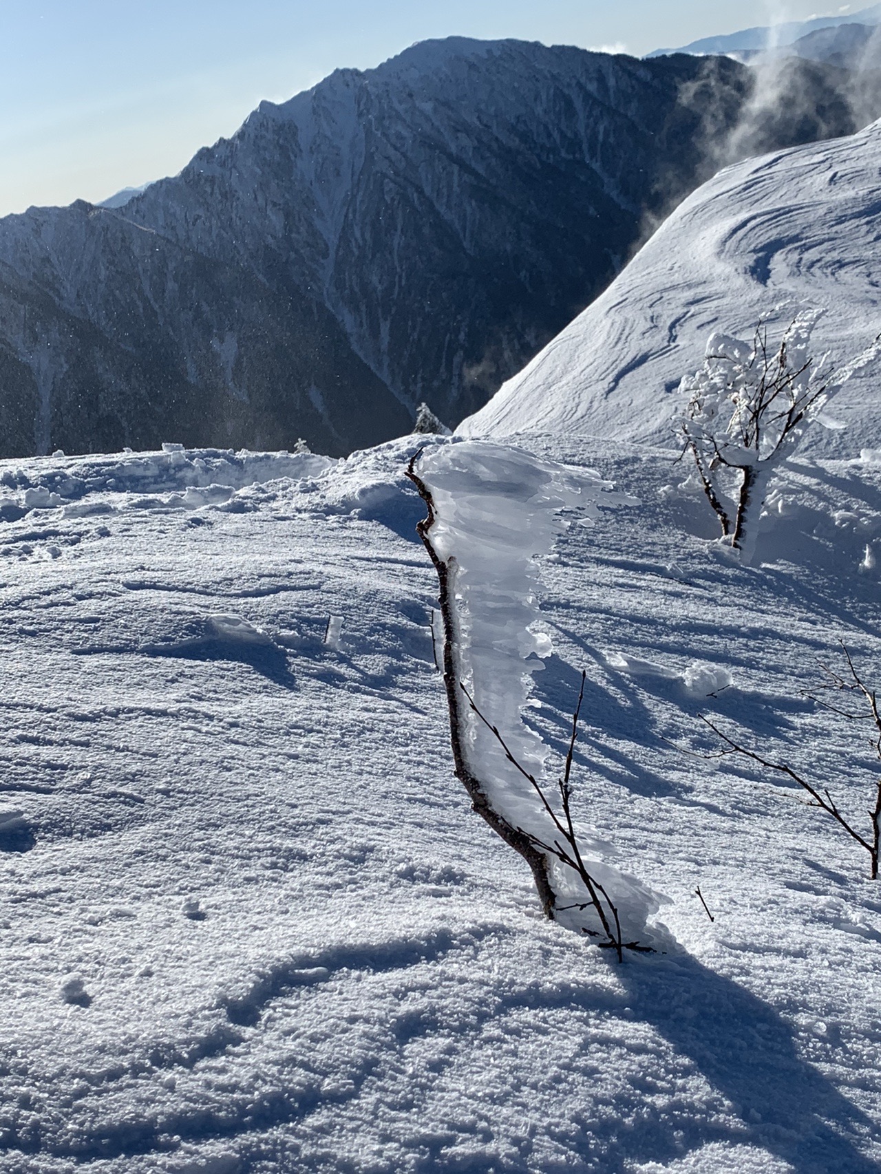 風で削られた雪の斜面。枯れ木が1本突き出し、背後に大きな雪山と雲がかかっている