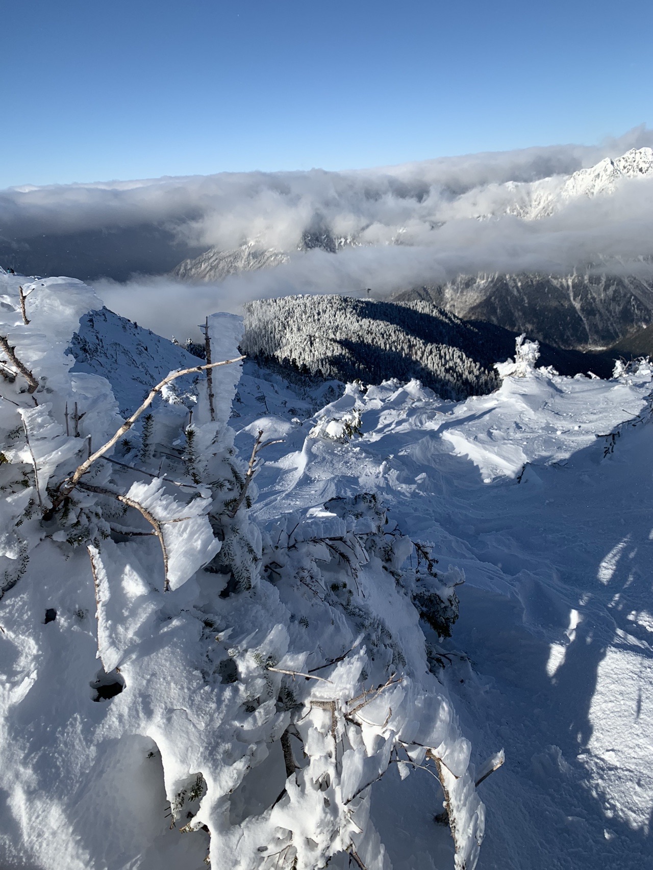 雪をまとった岩峰の連なりと、その下に広がる白い雲海