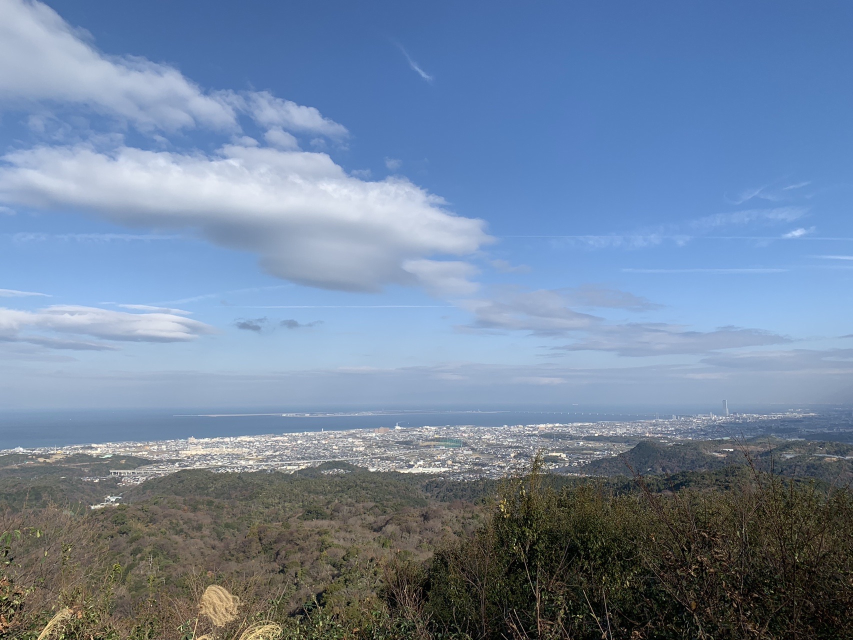 尾根から見下ろす大阪湾。手前に低い山並みが重なり、海沿いに市街地が広がっている。空に細長い雲