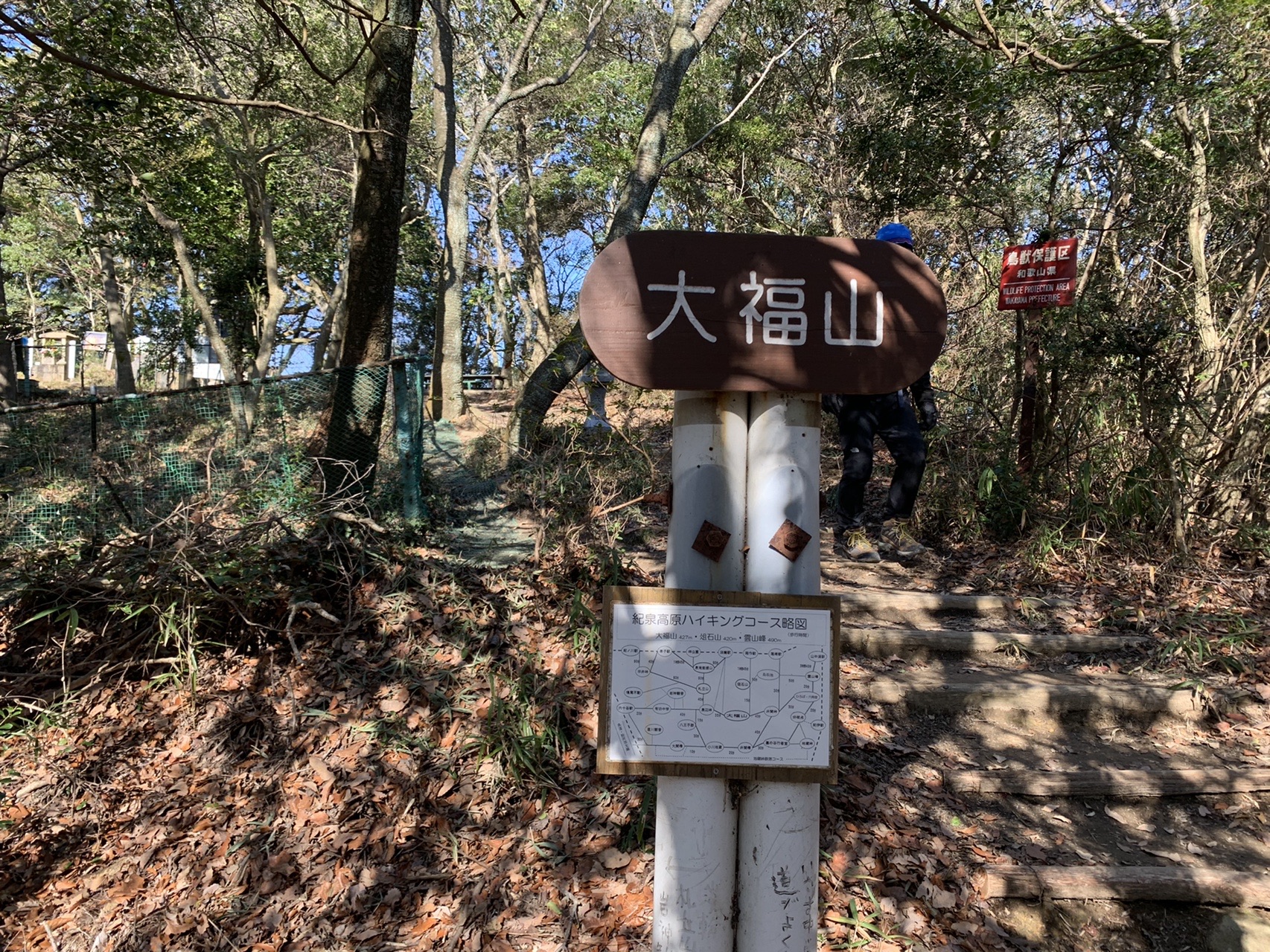 「大福山」と書かれた茶色い山名板。奥に「鳥獣保護区 和歌山県」の赤い札と、ハイキングコース略図の掲示がある
