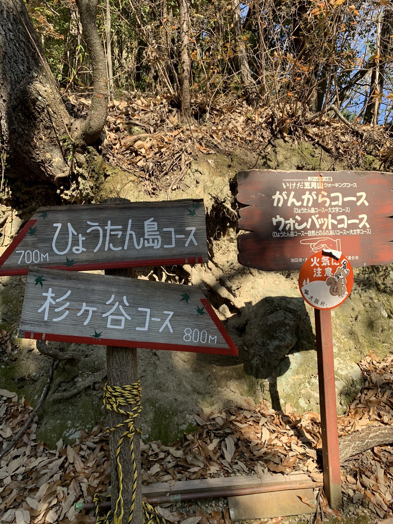 木の道標がいくつも重なって付いている。「ひょうたん島コース」「杉ヶ谷コース」「がんがら火コース」「ウォンバットコース」と書かれている
