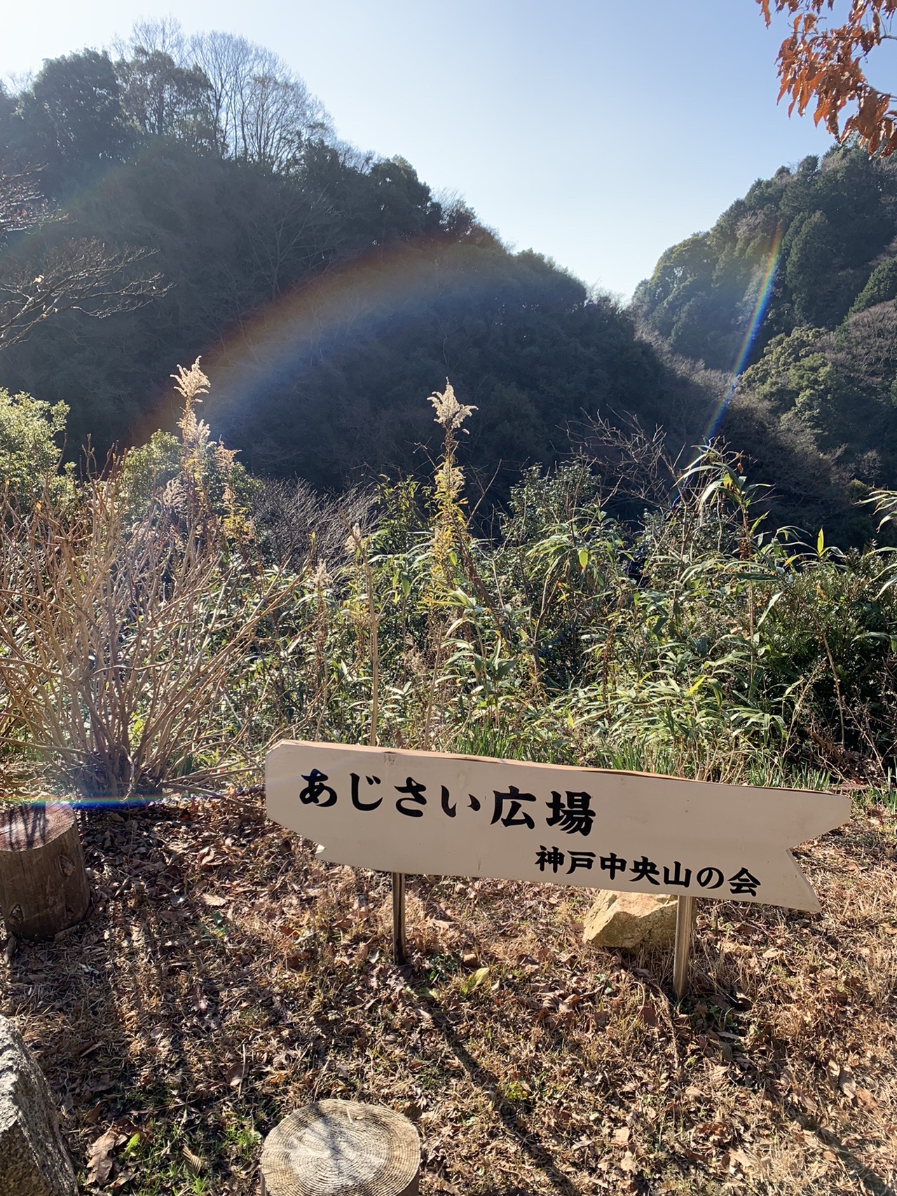「あじさい広場 神戸中央山の会」と書かれた木の看板。奥の谷に薄く虹がかかっている