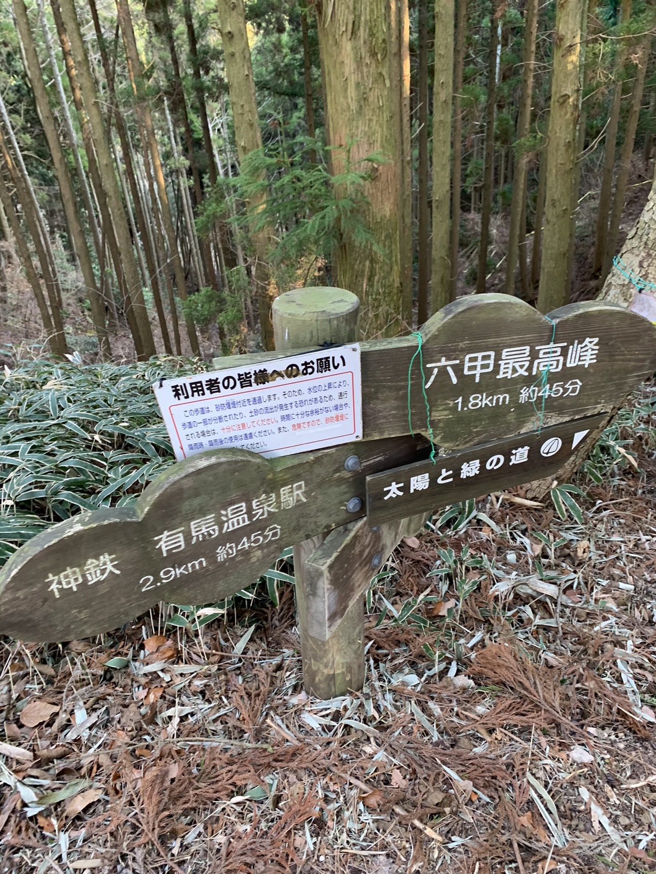 竹林の中に立つ木の道標。「六甲最高峰 1.8km 約45分」「太陽と緑の道」「有馬温泉駅」などの案内が重なっている