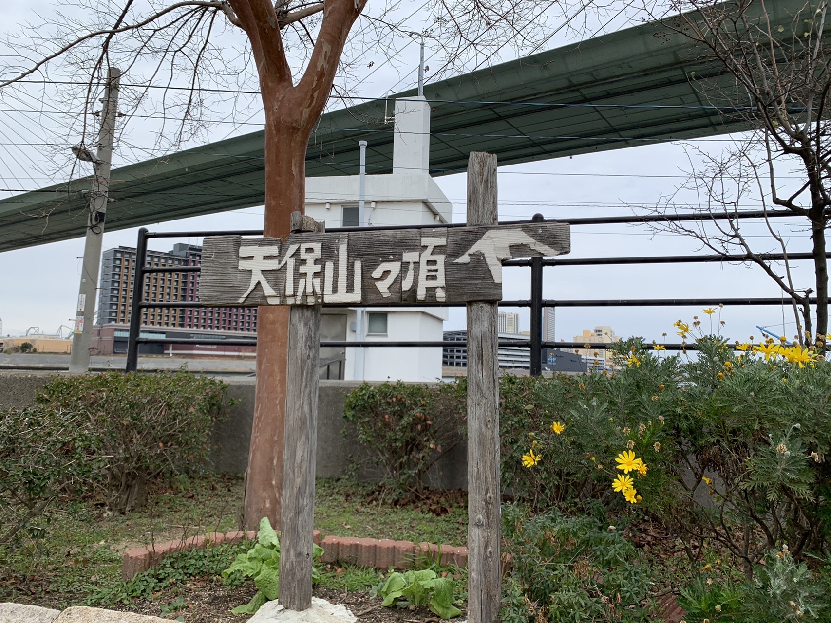 公園の植え込みの中に立つ古びた木の標柱。「天保山々頂」と彫られている。奥に高架が見える