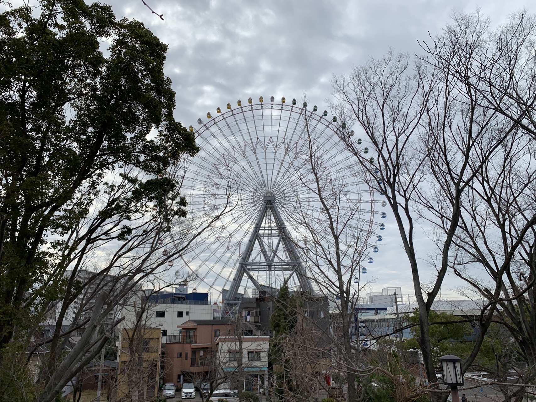 葉の落ちた木々の間から見える大きな観覧車。曇り空を背景に赤い骨組みが立っている