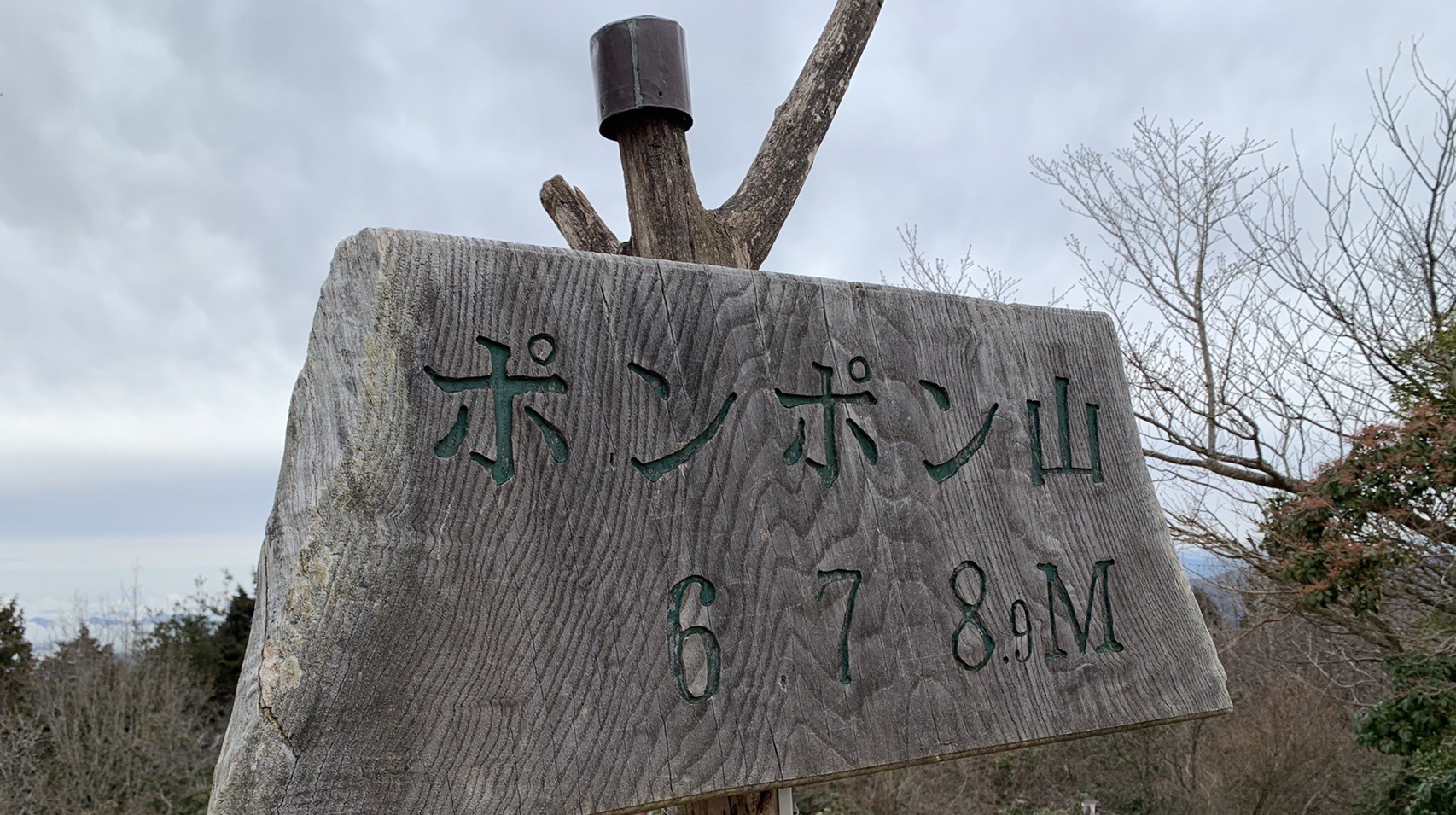 木製の大きな山名板。「ポンポン山 678.9M」と彫られている。曇り空の下、後ろに枯れ木の枝が広がる