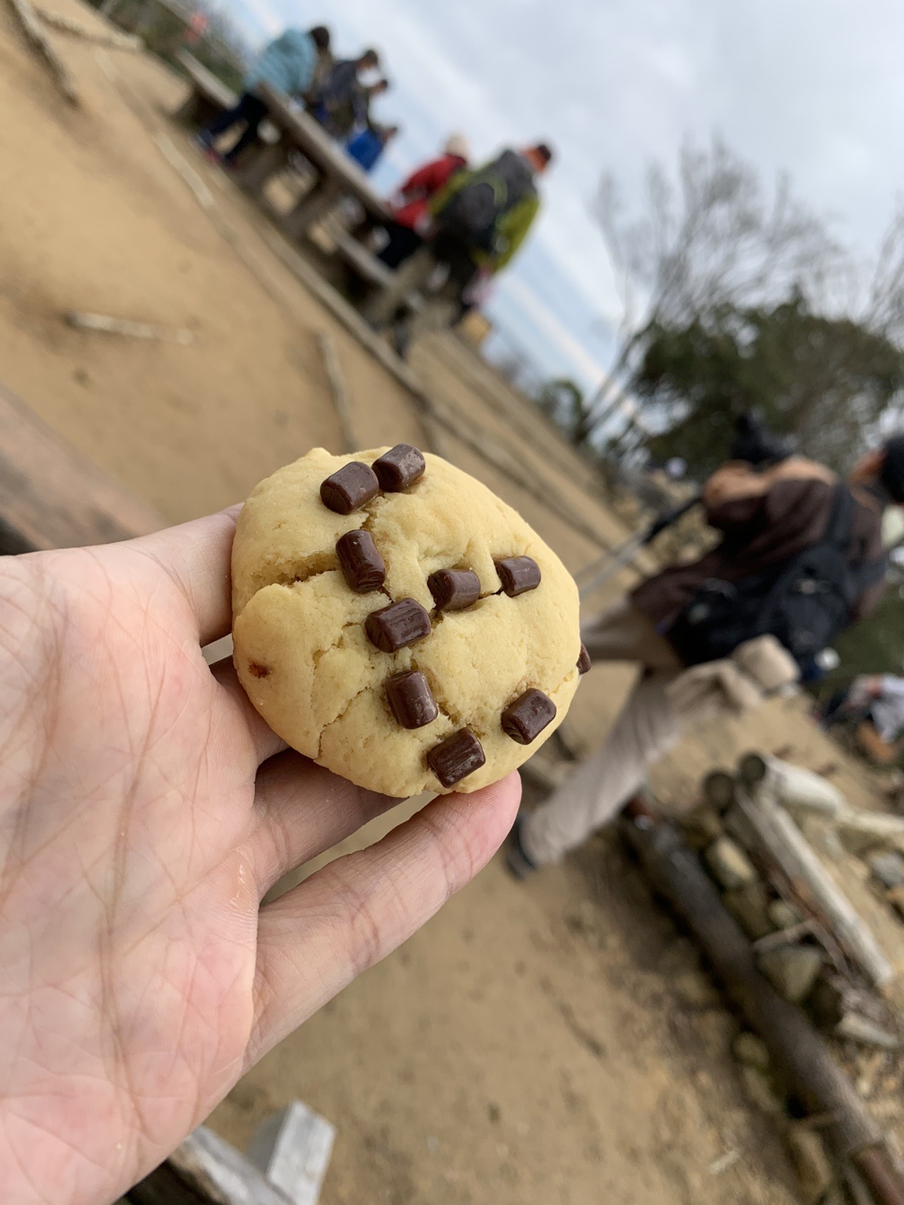 手のひらに乗せられた、チョコチップの入った丸い手作りクッキー
