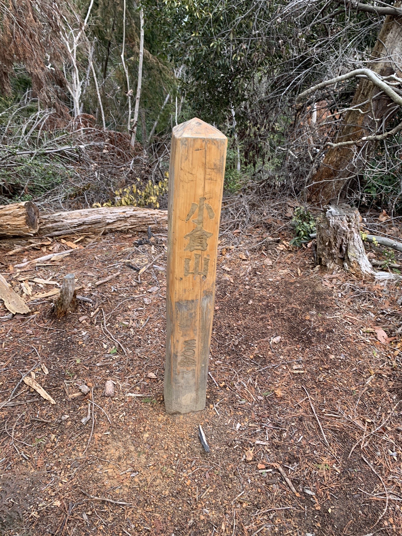落ち葉の積もった尾根に立つ木の角柱。「小倉山」と彫られている