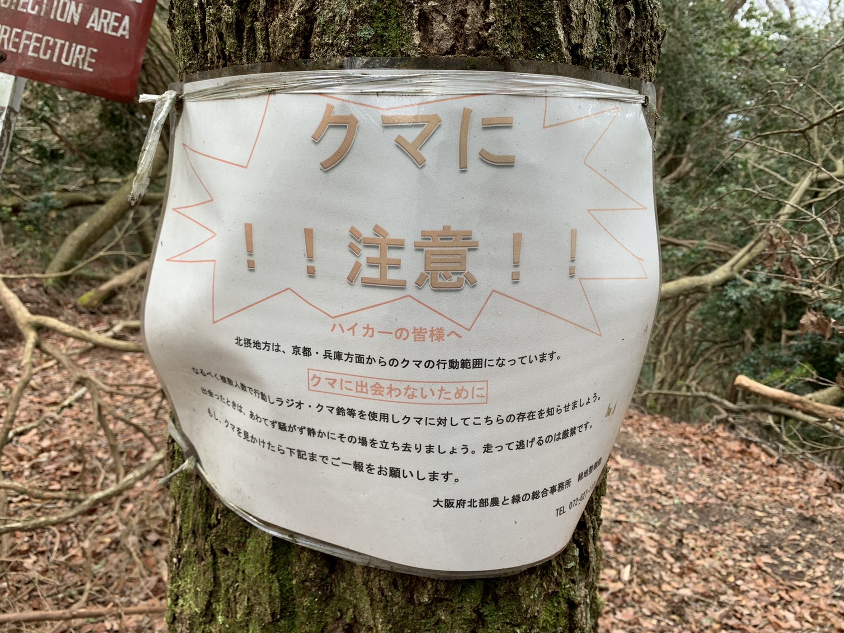 木の幹に取り付けられた白い看板。オレンジの吹き出しで「クマに !!注意!!」と大きく書かれ、下に注意事項が並んでいる