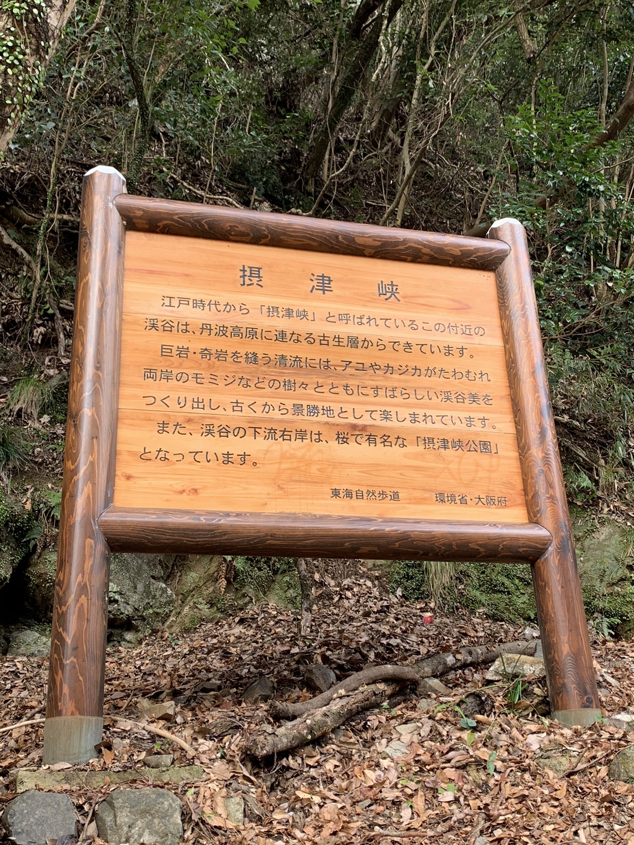 木枠に入ったオレンジ色の案内板。「摂津峡」と題され、渓谷の説明文が書かれている