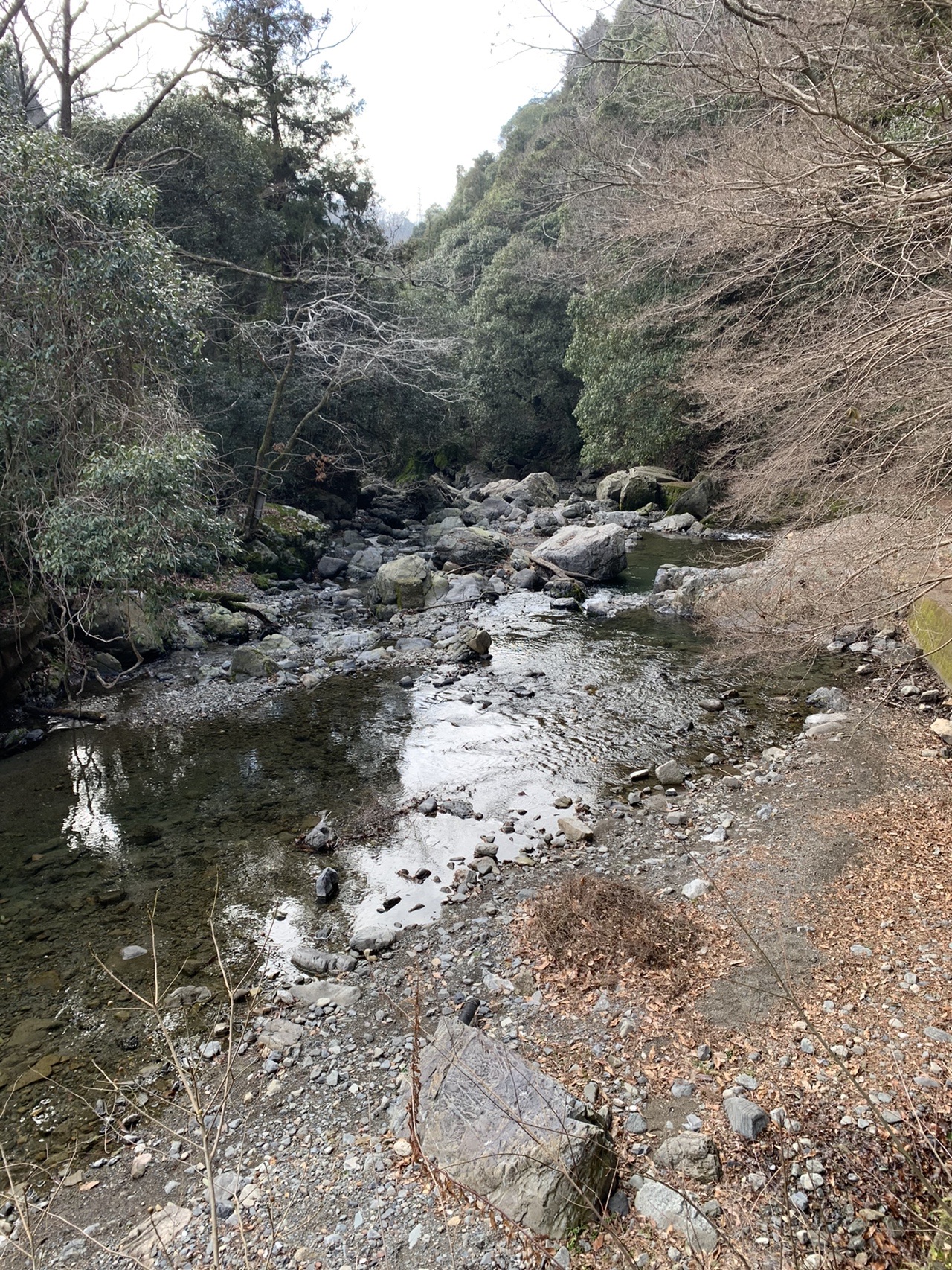 谷あいを流れる浅い川。大小の岩がごろごろと川床に並び、両岸は木々に覆われている