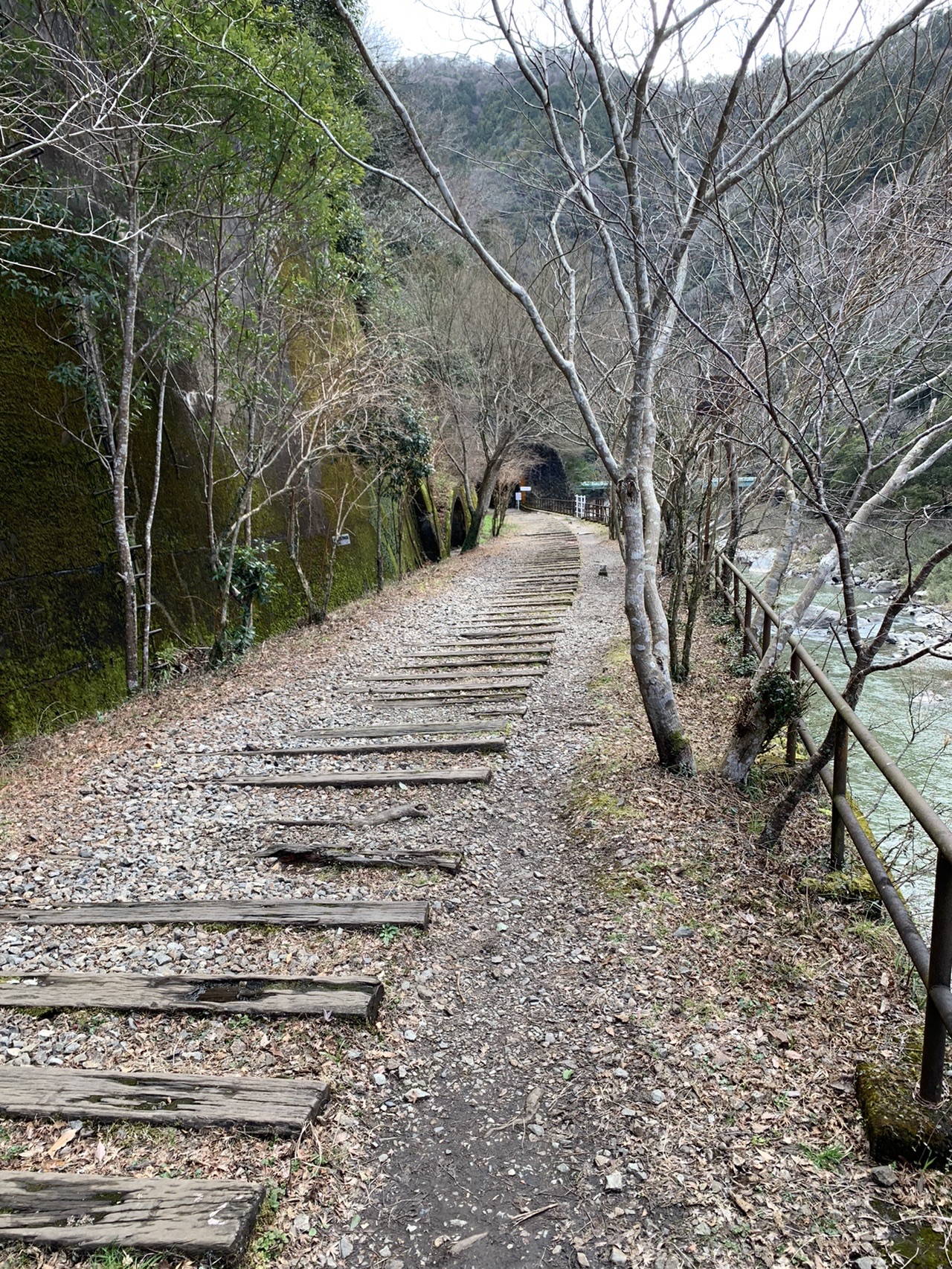 枕木が残る幅の広いまっすぐな道。両側に落葉した木が並び、奥にトンネルの入口が見えている