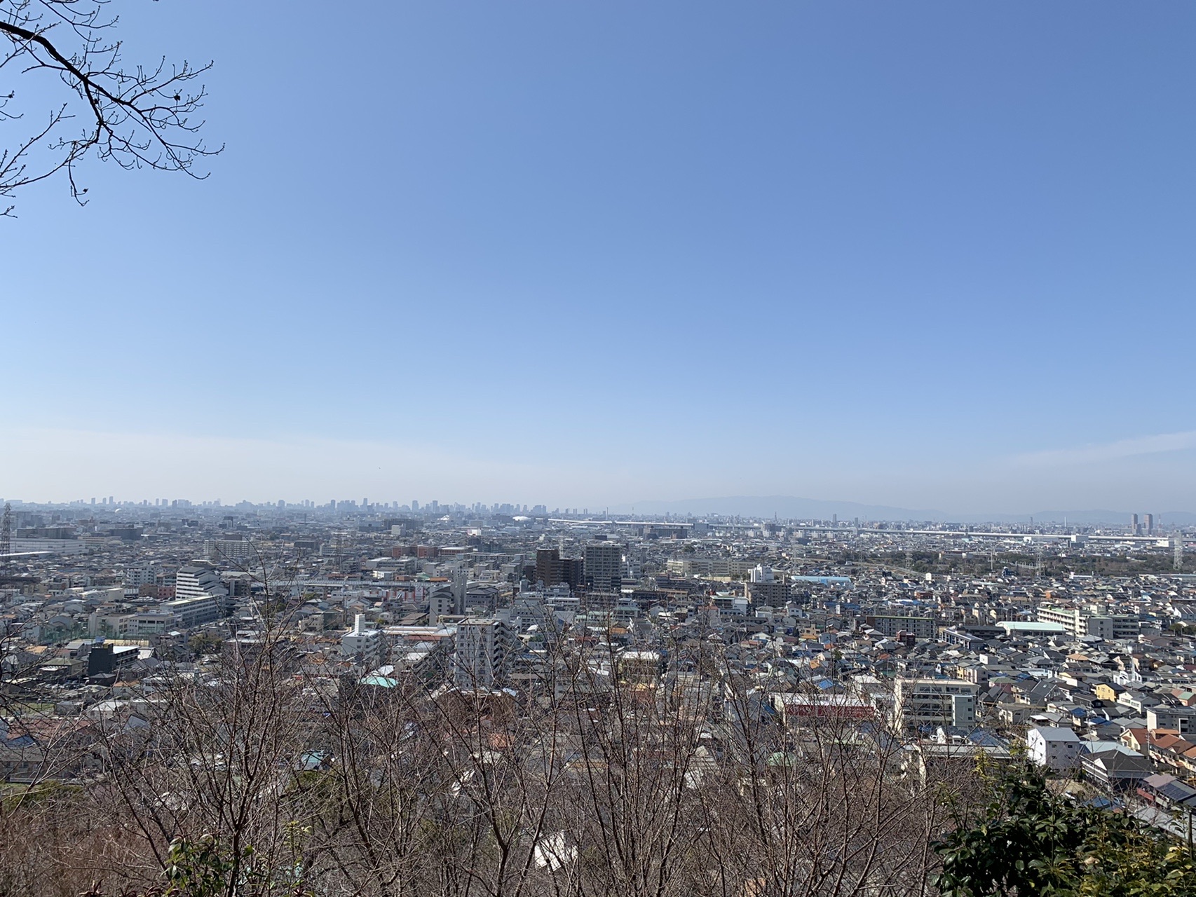 野崎城址から見下ろす大阪平野。手前に枯れ枝、遠くまで街が広がっている