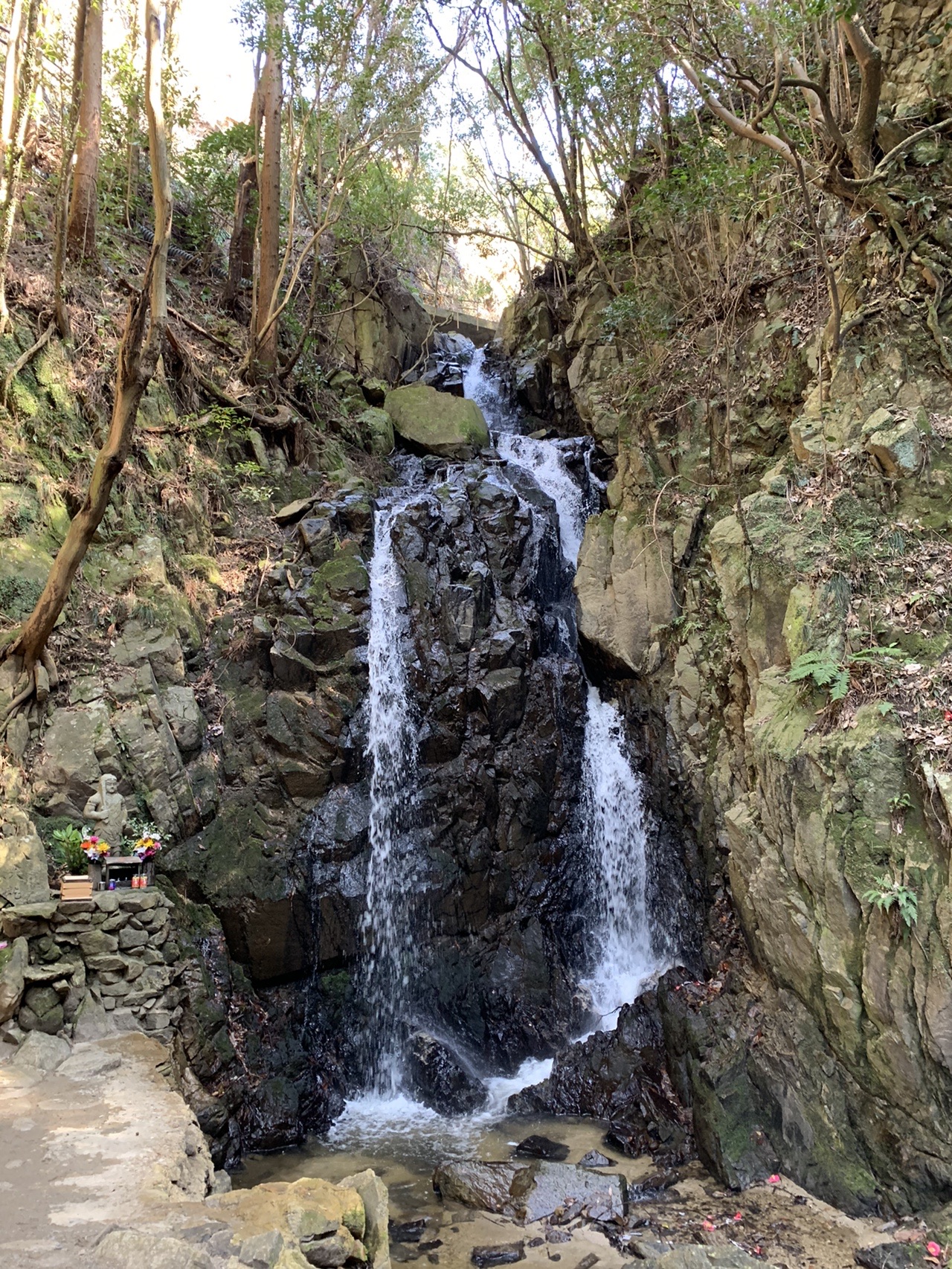 岩壁を落ちる細い滝。まわりは苔むした岩と木立