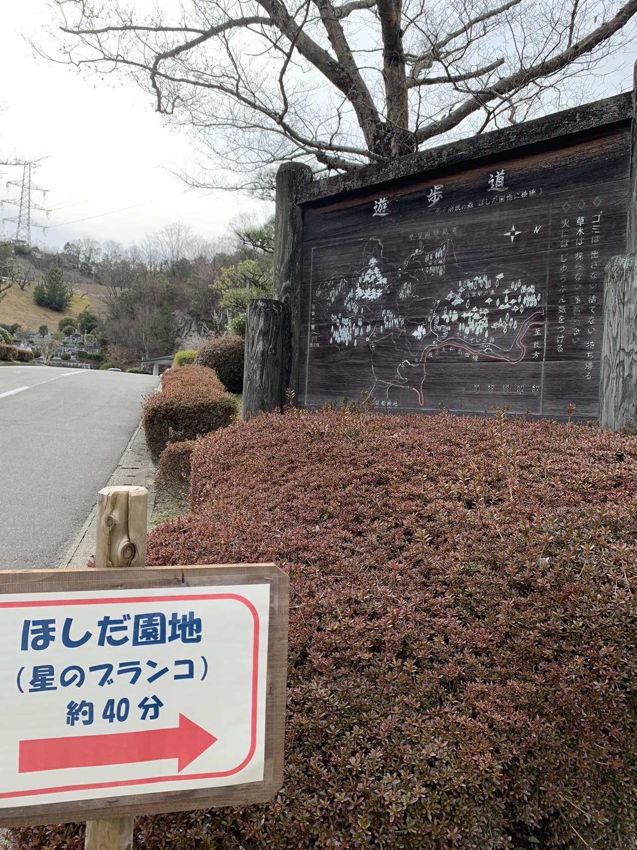 「ほしだ園地(星のブランコ)約60分」と書かれた案内板。奥に林の入口が見える