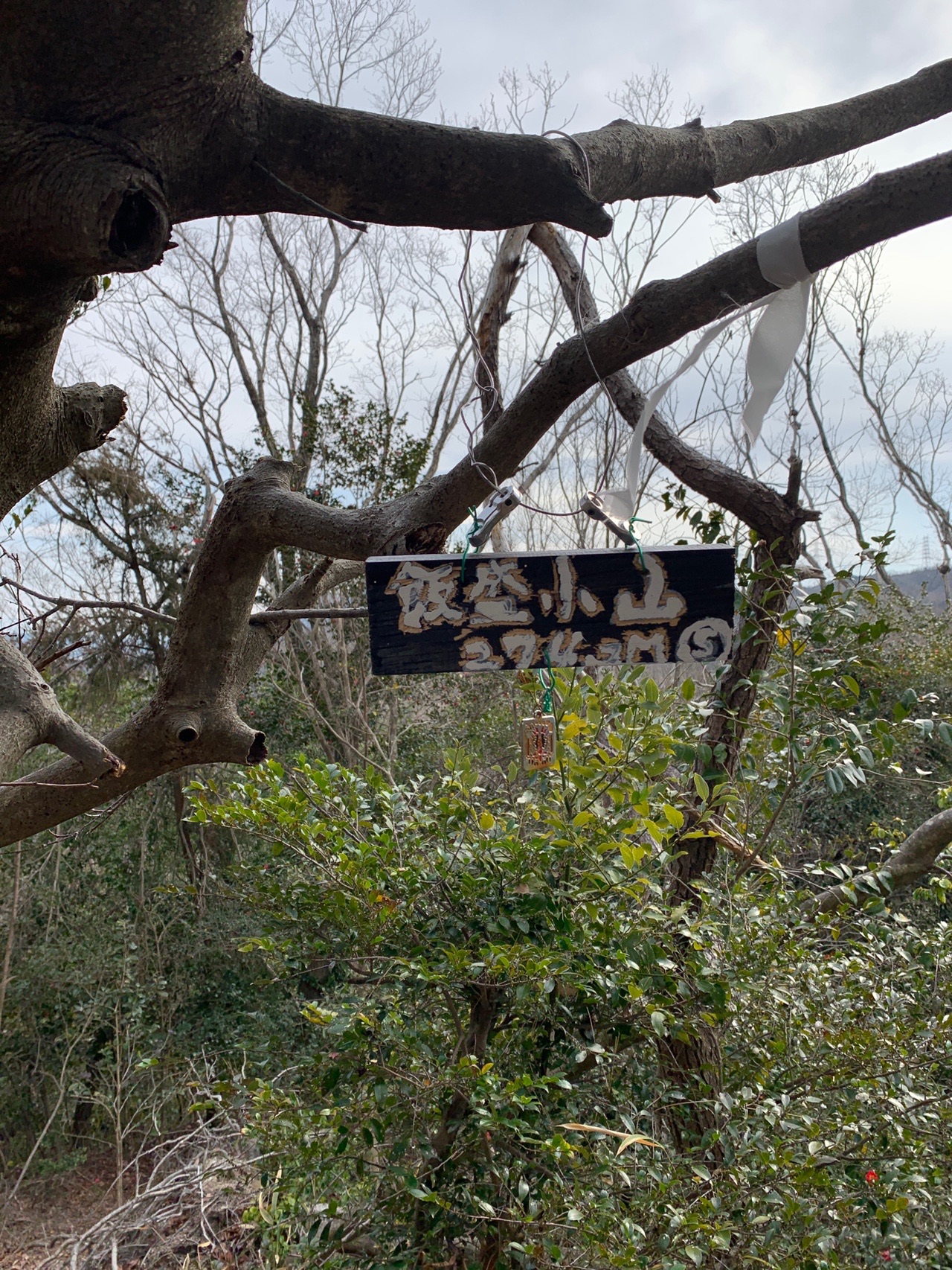 木の枝に取り付けられた小さな山名板。「飯盛小山」と書かれている