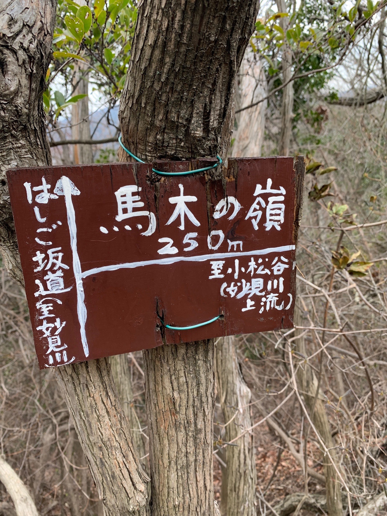 木の幹に取り付けられた「馬木の嶺」の山名板。手作りの木製で、周囲は落葉した林