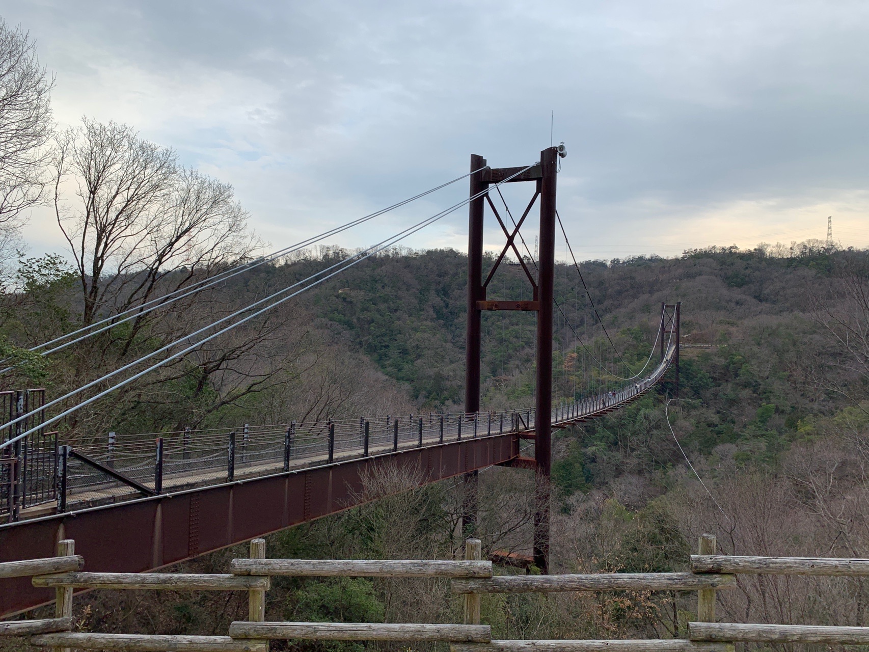 谷を渡る長い吊り橋。左右に主塔が立ち、下は一面の森