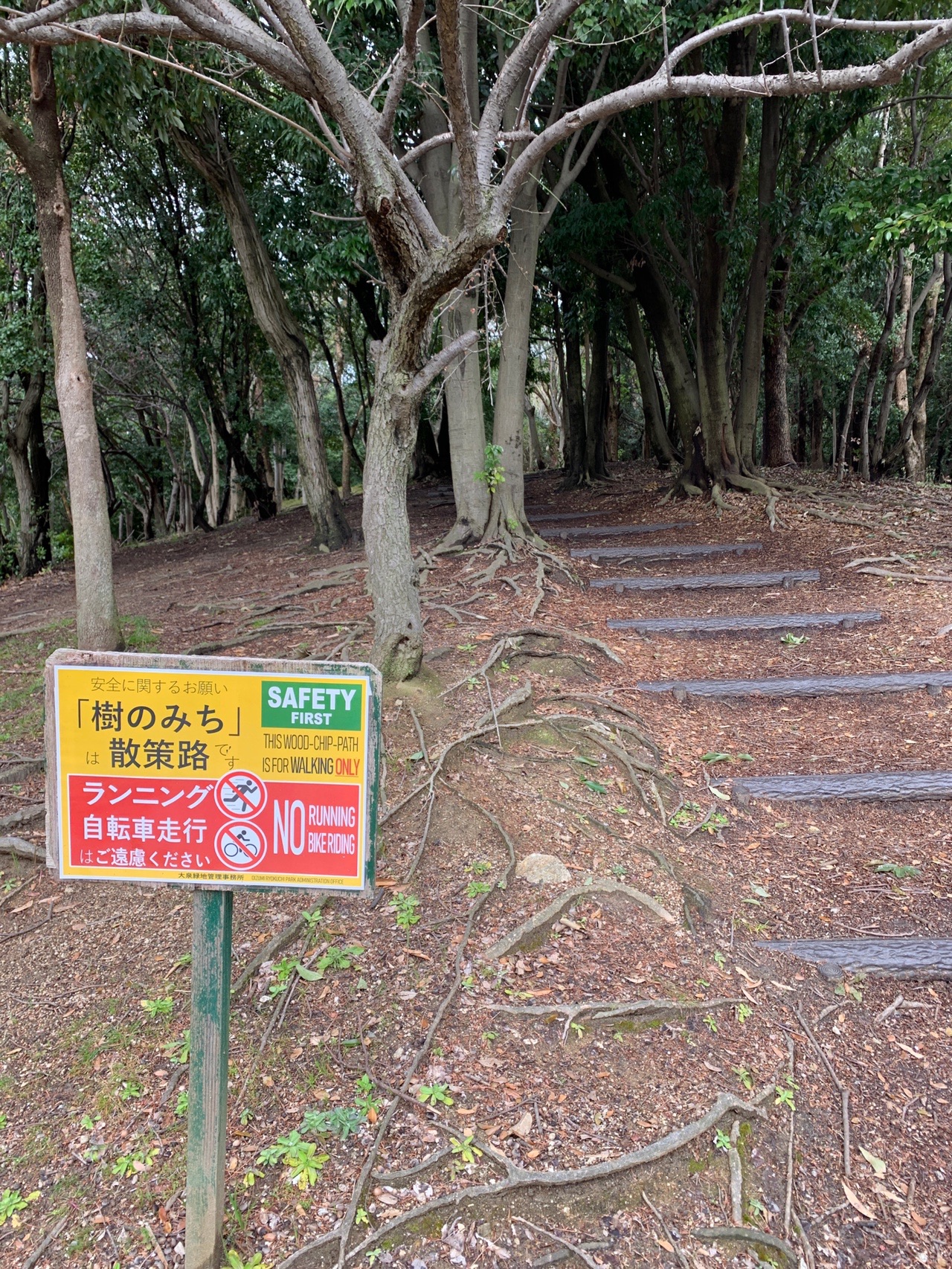 林の中の丸太の階段。手前に「樹のみち」と書かれた黄色い注意看板が立っている